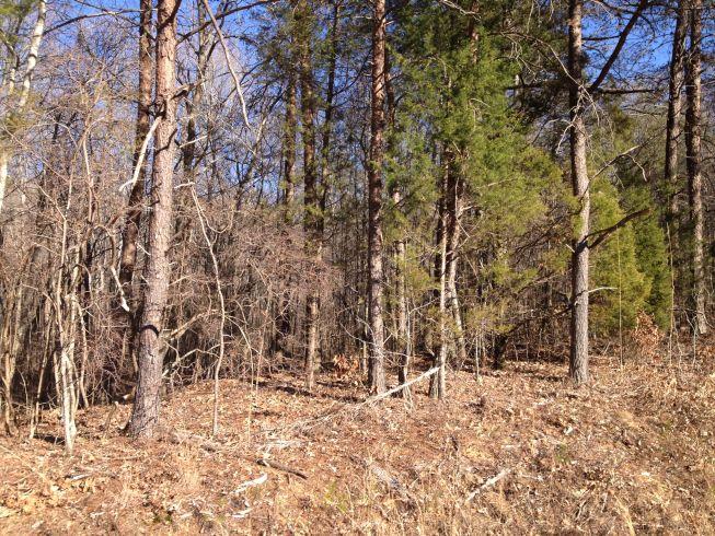Branham Hollow Road, Unit 28 Ten Mile, TN 37880 - Photo 4 of 4 Property Photos (3)