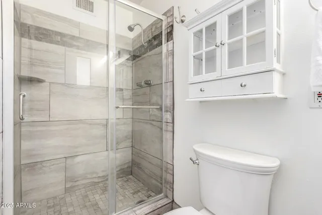 a bathroom with a shower and a toilet