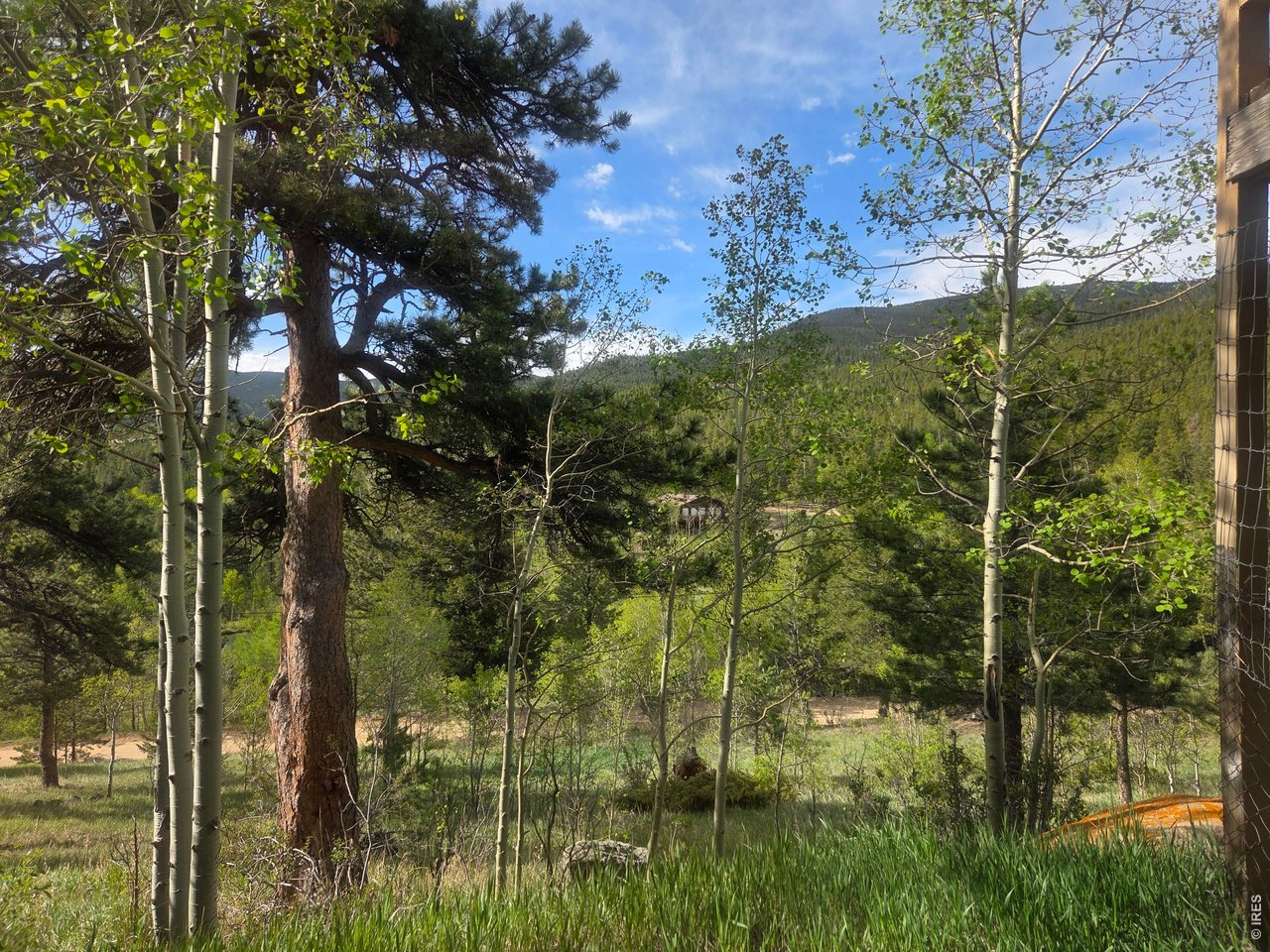 328 North Skinner Road Allenspark, CO 80510 - Photo 26 of 41 View from lower of home