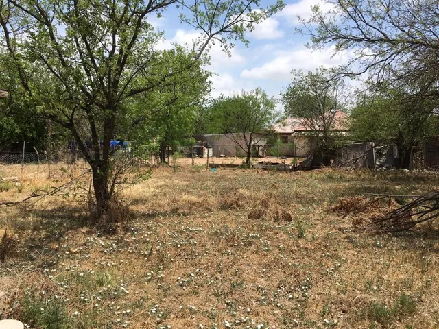 a view of dirt yard with a tree