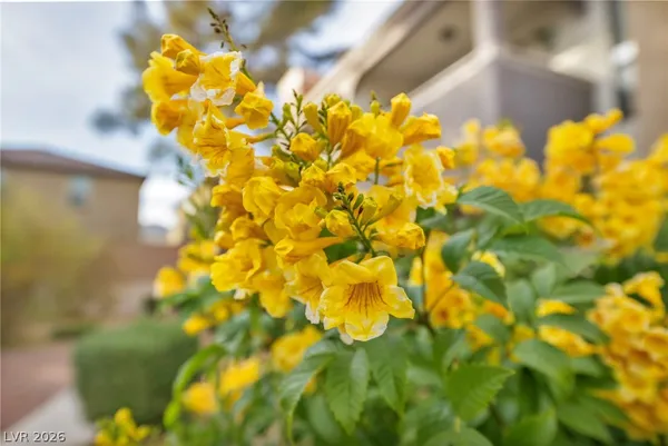 $250,000 | 711 Bass Drive, Unit D, Henderson, NV 89014