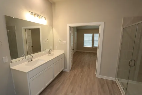 a bathroom with a sink a mirror and a shower