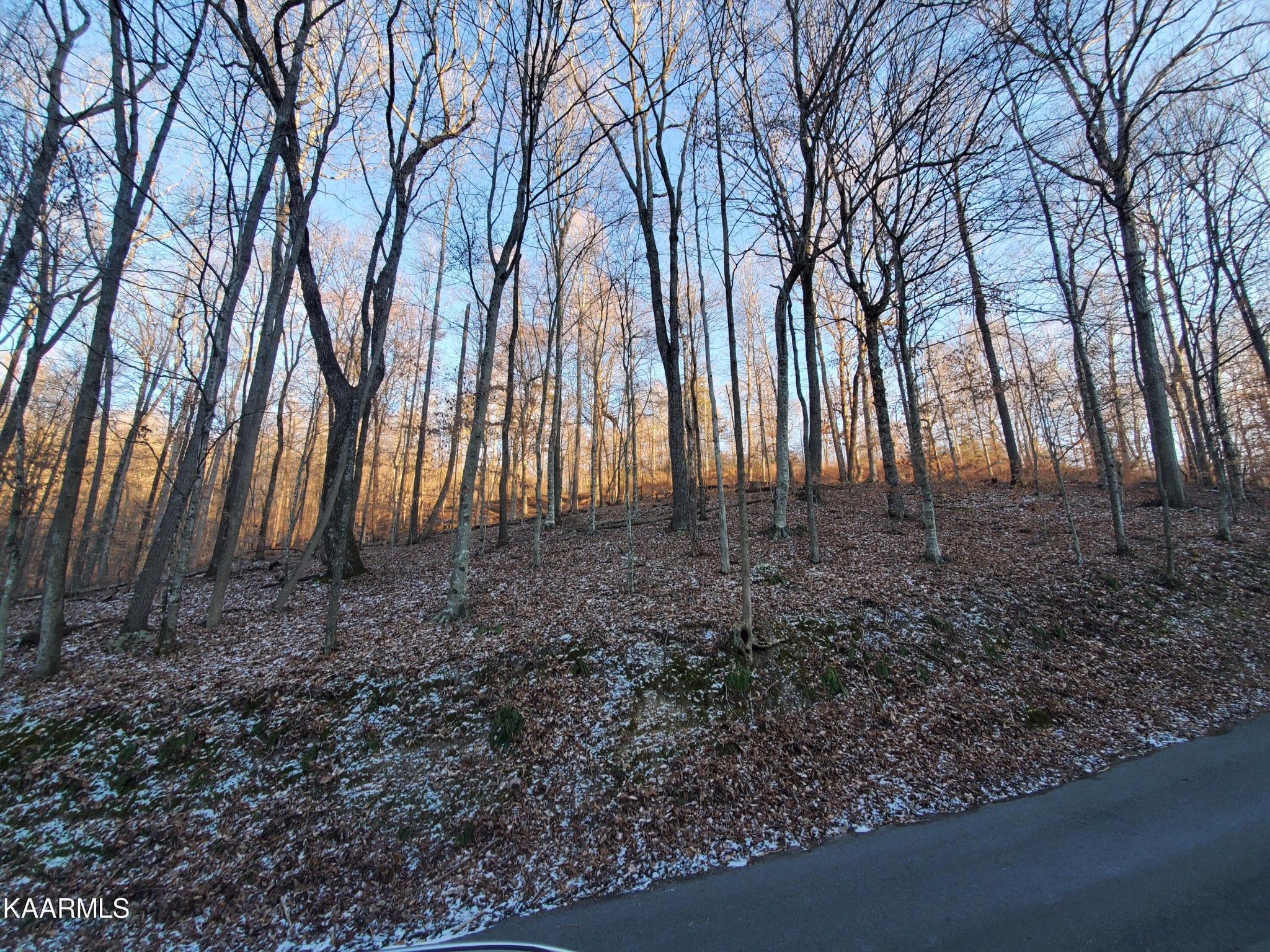 32 Hickory Star Road Maynardville, TN 37807 - Photo 5 of 7 Gallery Image 5