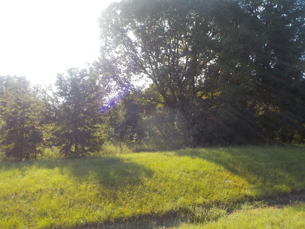 18/ Cty Road Headland, AL 36345 - Photo 2 of 22