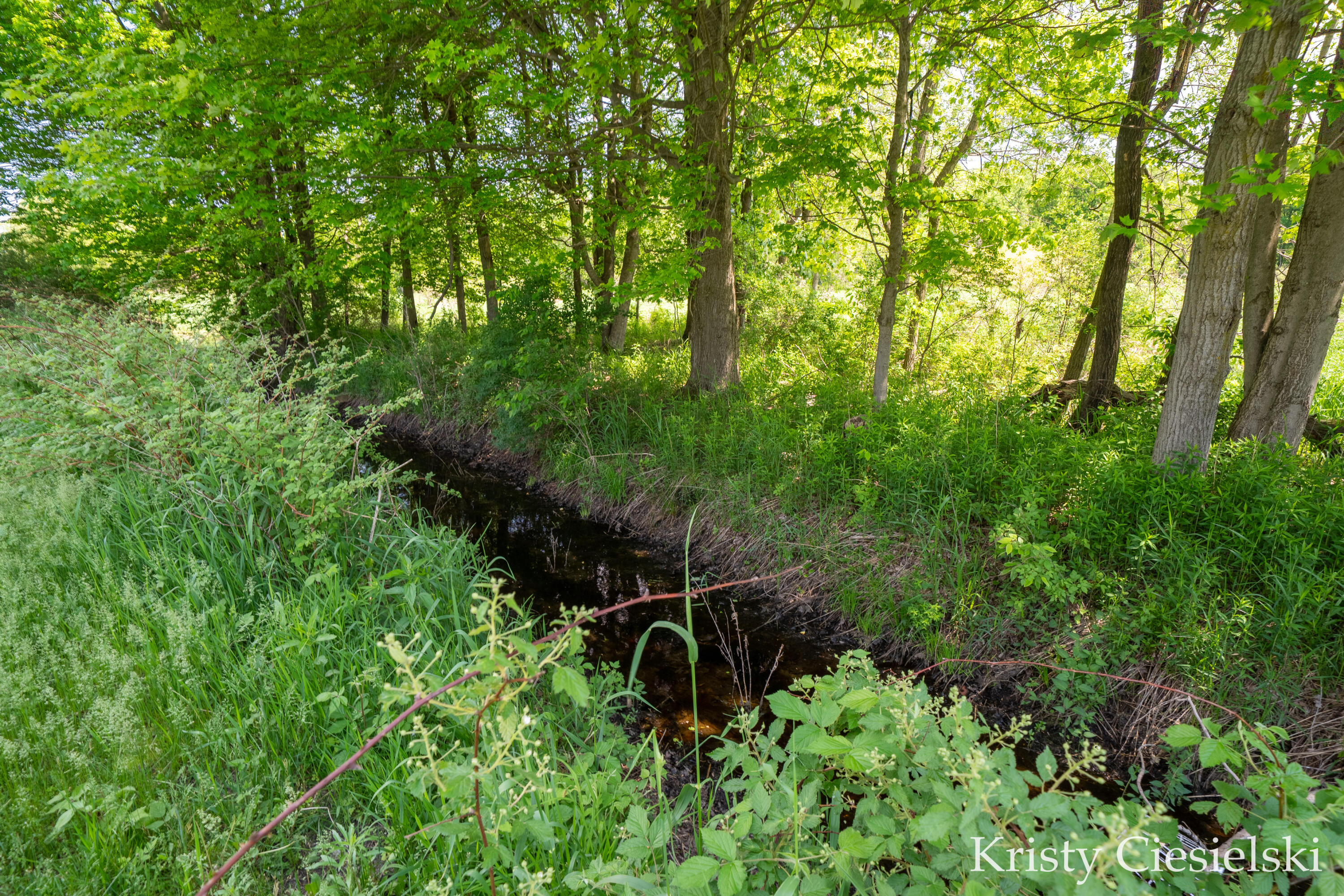 2162 South Stone Road Fremont, MI 49412 - Photo 47 of 57 52-print-2162 S Stone Rd, Fremont, MI 49