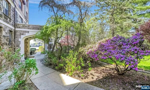 a view of a garden with flowers and flowers