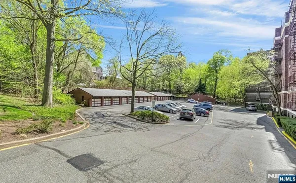 a view of a backyard with plants and trees