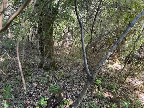 a view of outdoor space and a yard