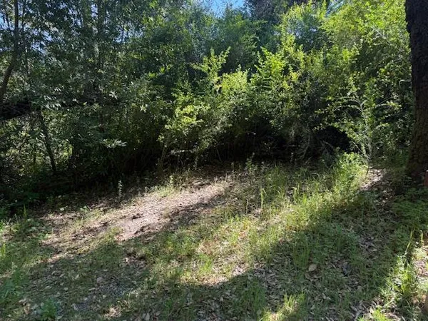 a view of outdoor space with garden