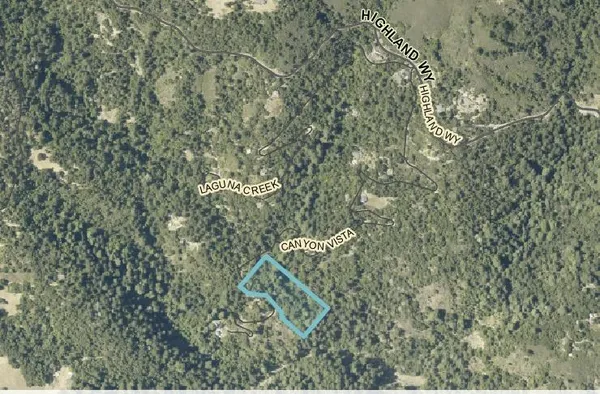 a view of a forest with lots of trees