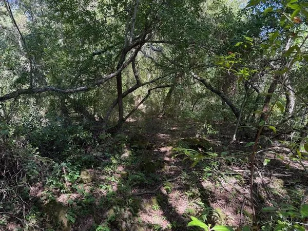 a view of a city with lush green forest
