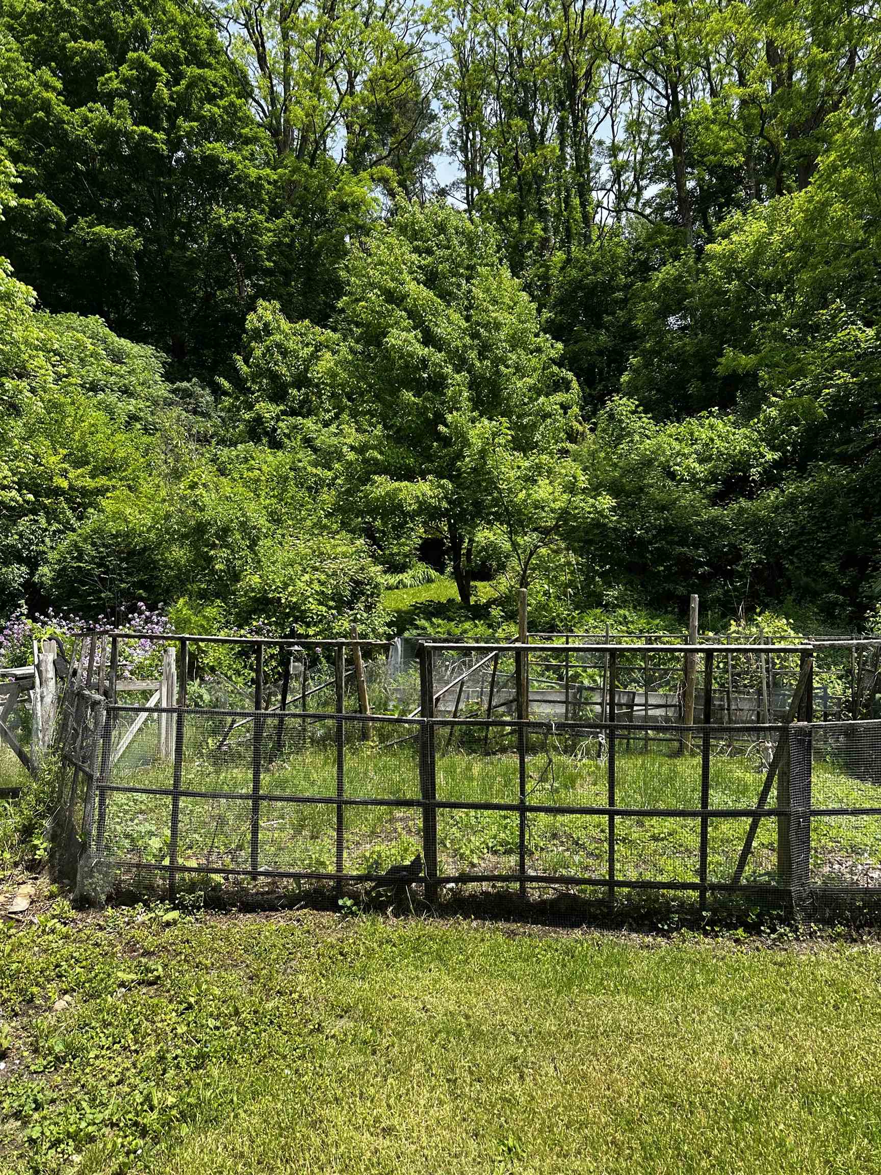 53 High Street Middlebury, VT 05753 - Photo 28 of 37