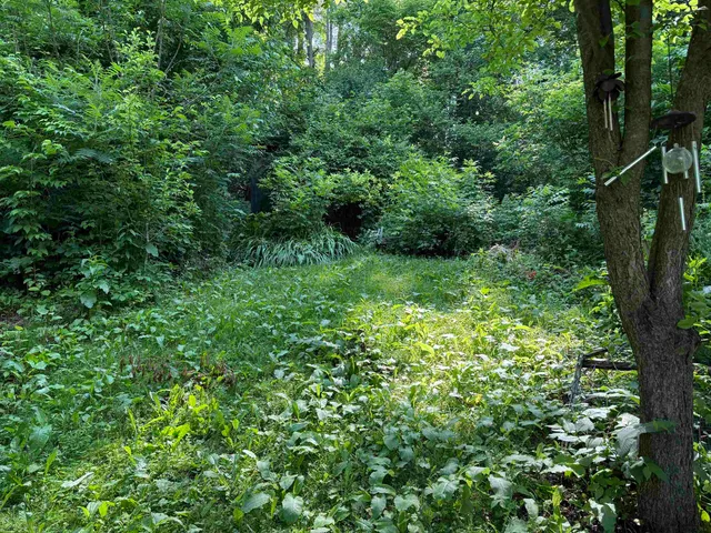 $325,000 | 53 High Street, Middlebury, VT 05753