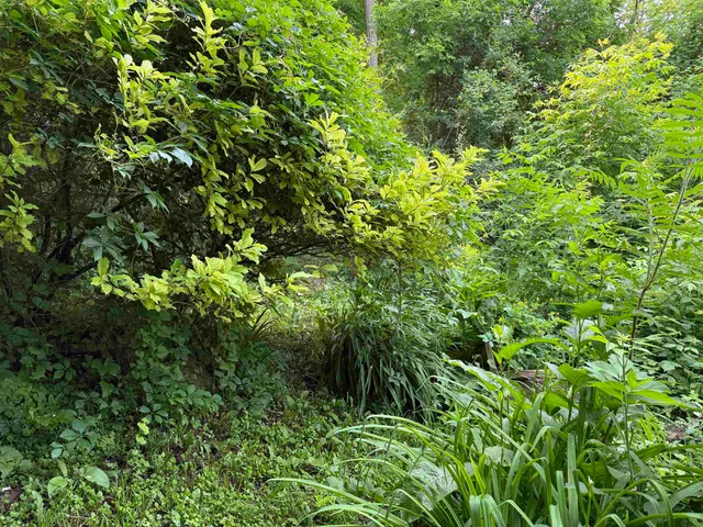 $325,000 | 53 High Street, Middlebury, VT 05753