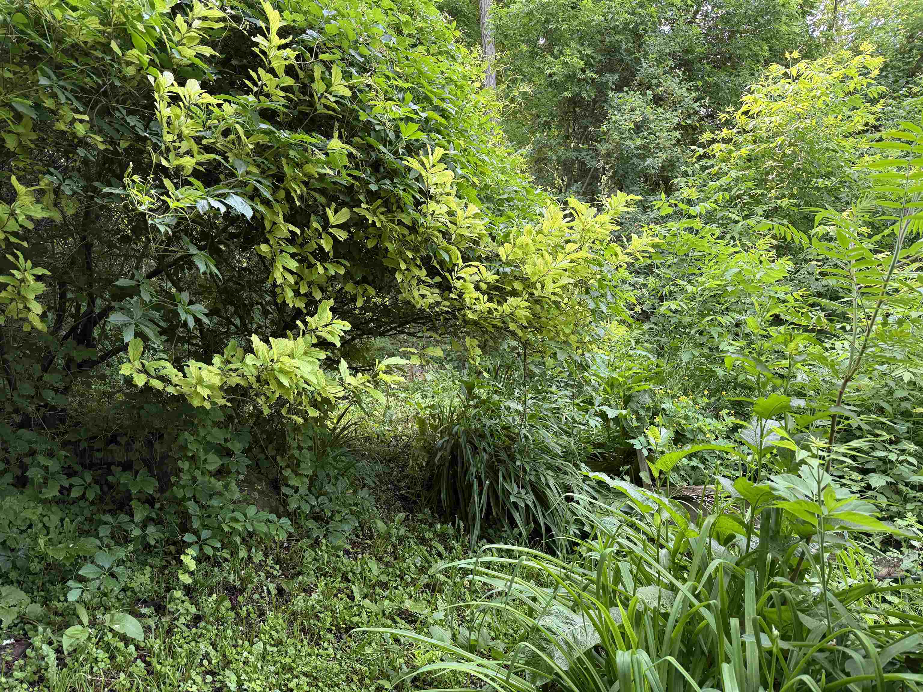 53 High Street Middlebury, VT 05753 - Photo 35 of 38