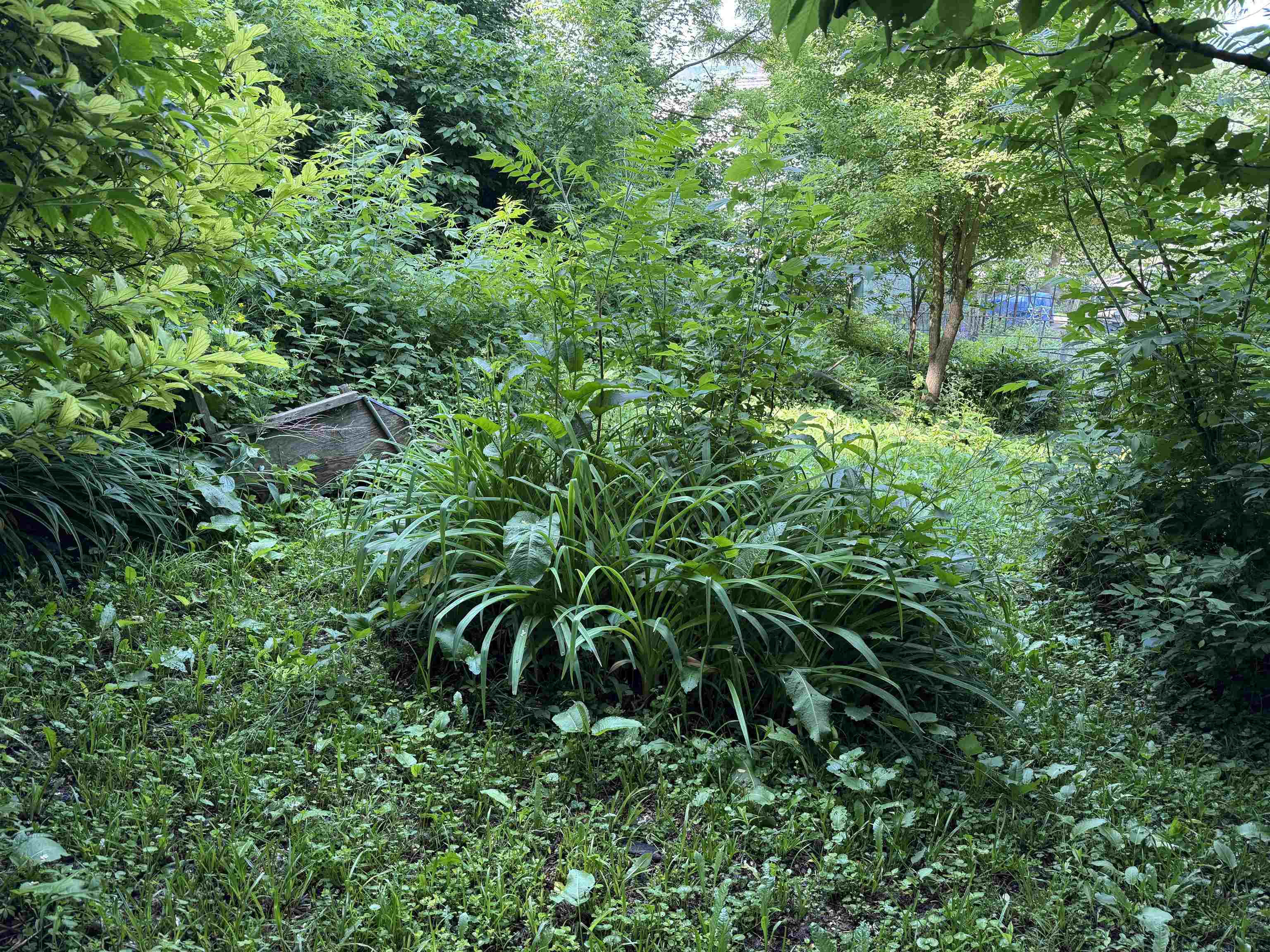 53 High Street Middlebury, VT 05753 - Photo 37 of 38