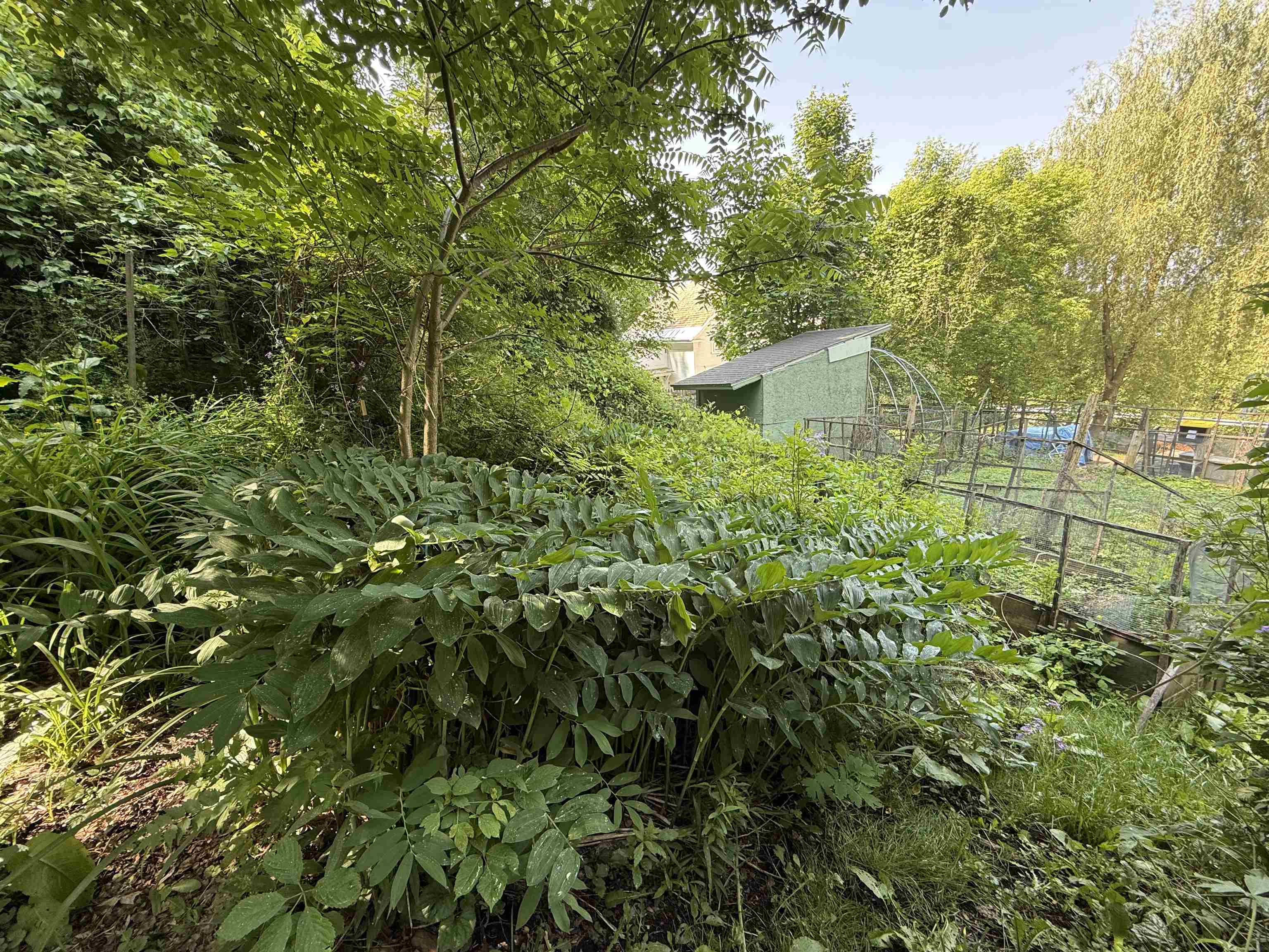 53 High Street Middlebury, VT 05753 - Photo 37 of 37