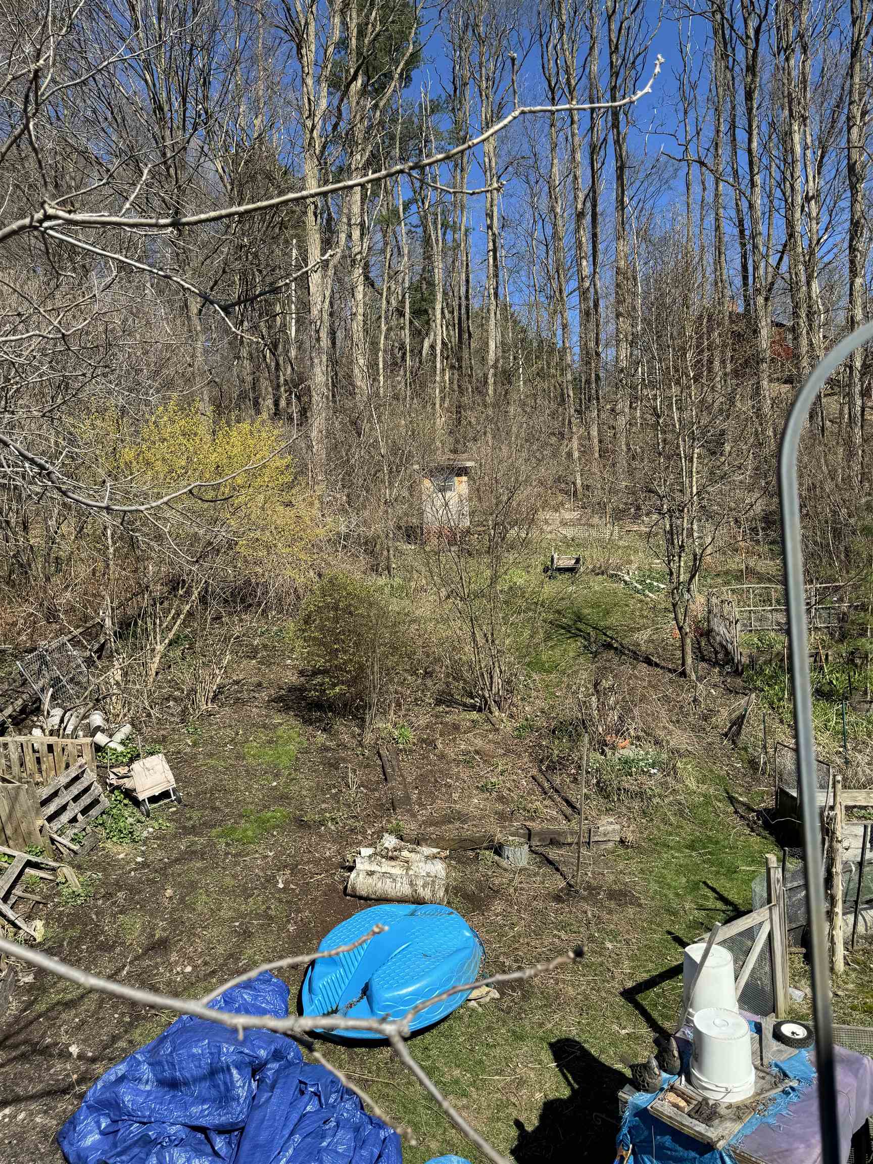 53 High Street Middlebury, VT 05753 - Photo 4 of 37