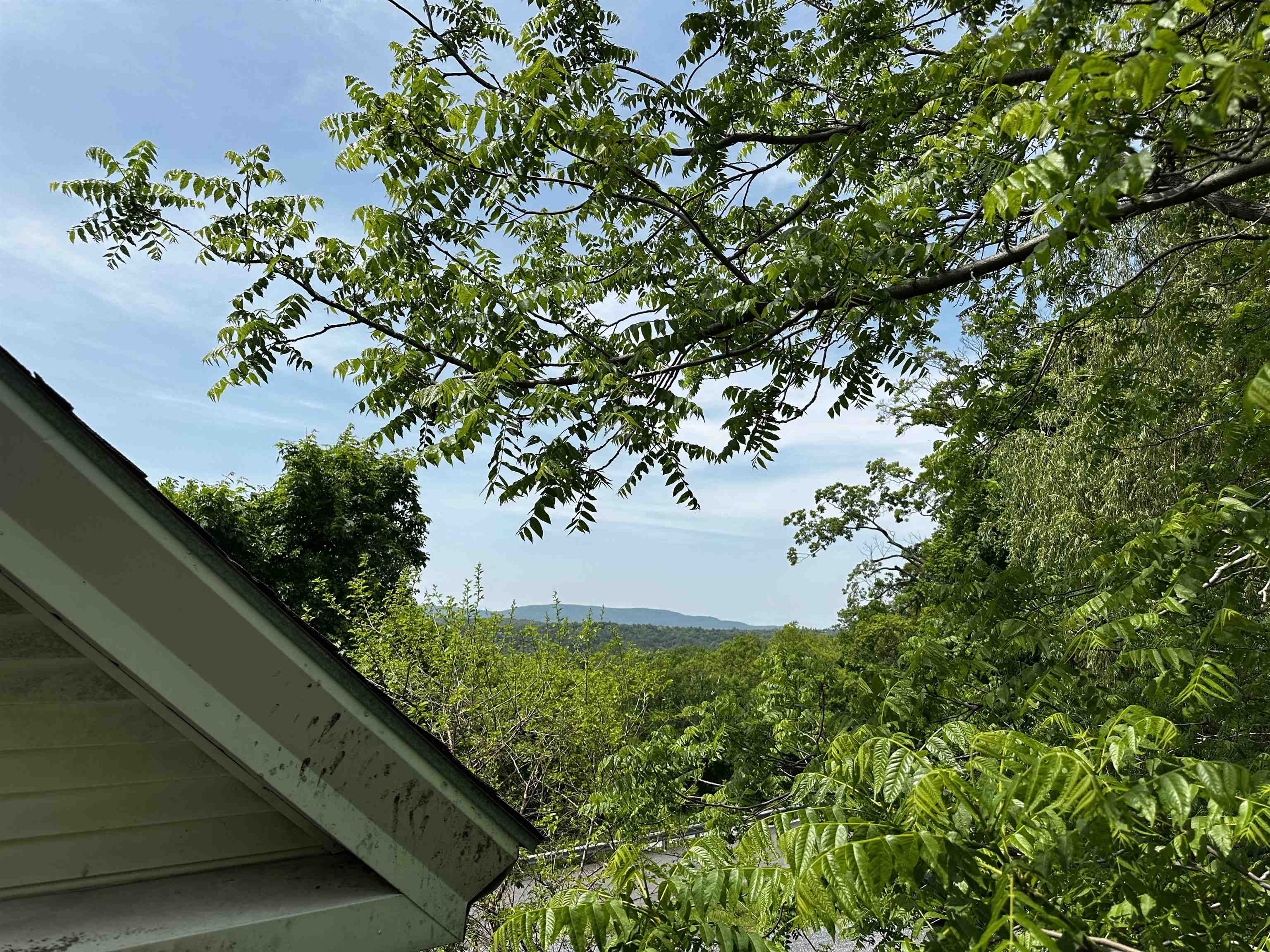 53 High Street Middlebury, VT 05753 - Photo 9 of 38