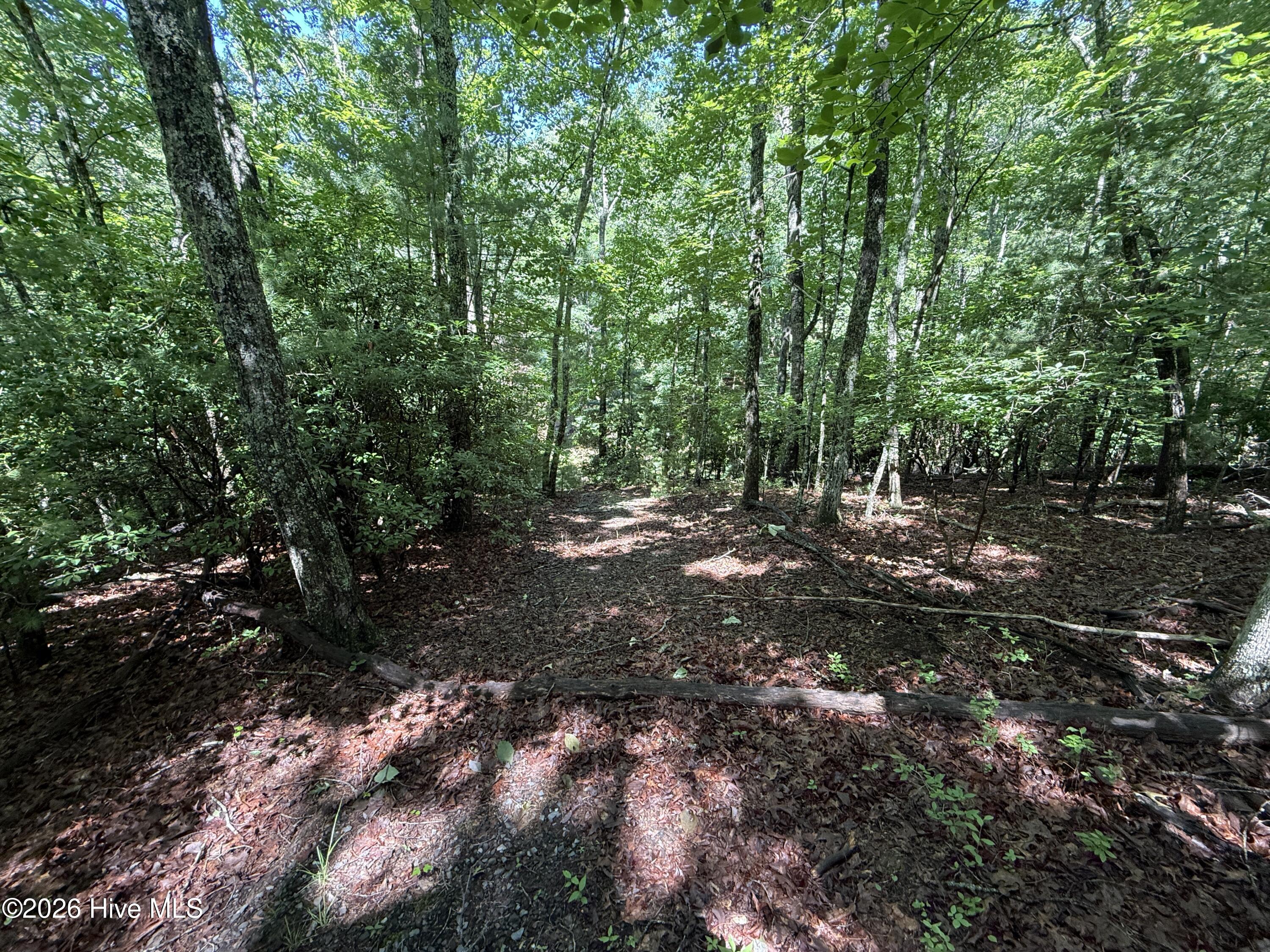 81 Roberts Road Murphy, NC 28906 - Photo 4 of 9