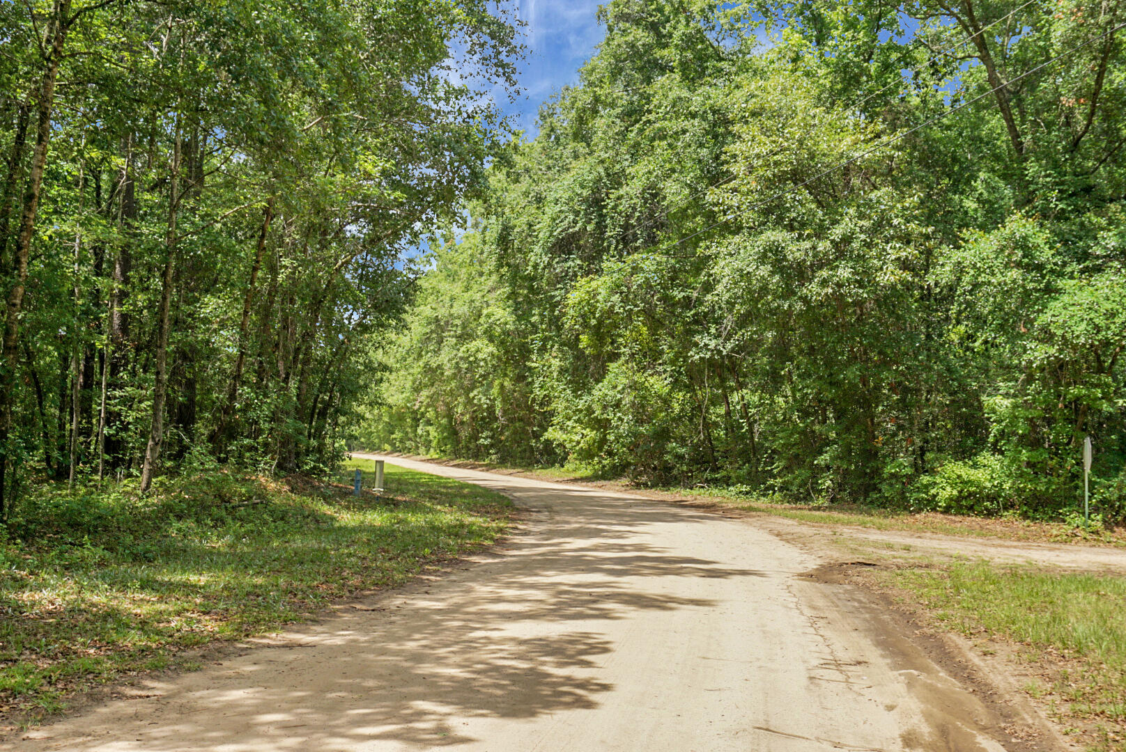 343 Capers Road Walterboro, SC 29488 - Photo 4 of 51 DSC01171