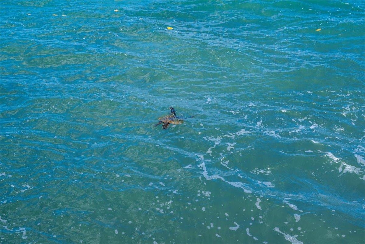 4471 Lower Honoapiilani Road, Unit 112 Lahaina, HI 96761 - Photo 23 of 28