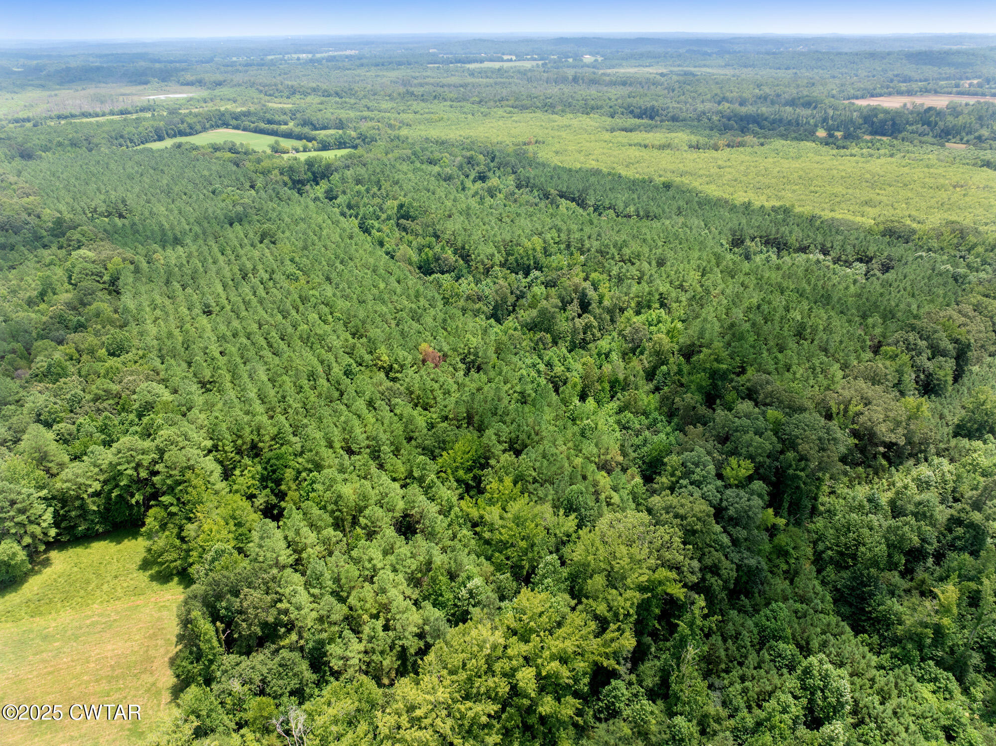 0 Darden Road Lexington, TN 38351 - Photo 8 of 11 DJI_20250729132907_0683_D
