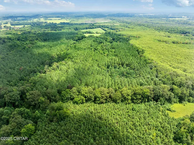 a view of a field of grass and trees