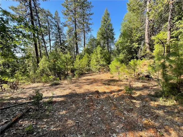 a view of dirt yard with a tree