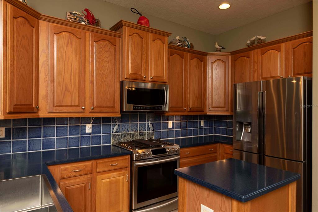 3746 Dogtrot Street New Port Richey, FL 34655 - Photo 8 of 50