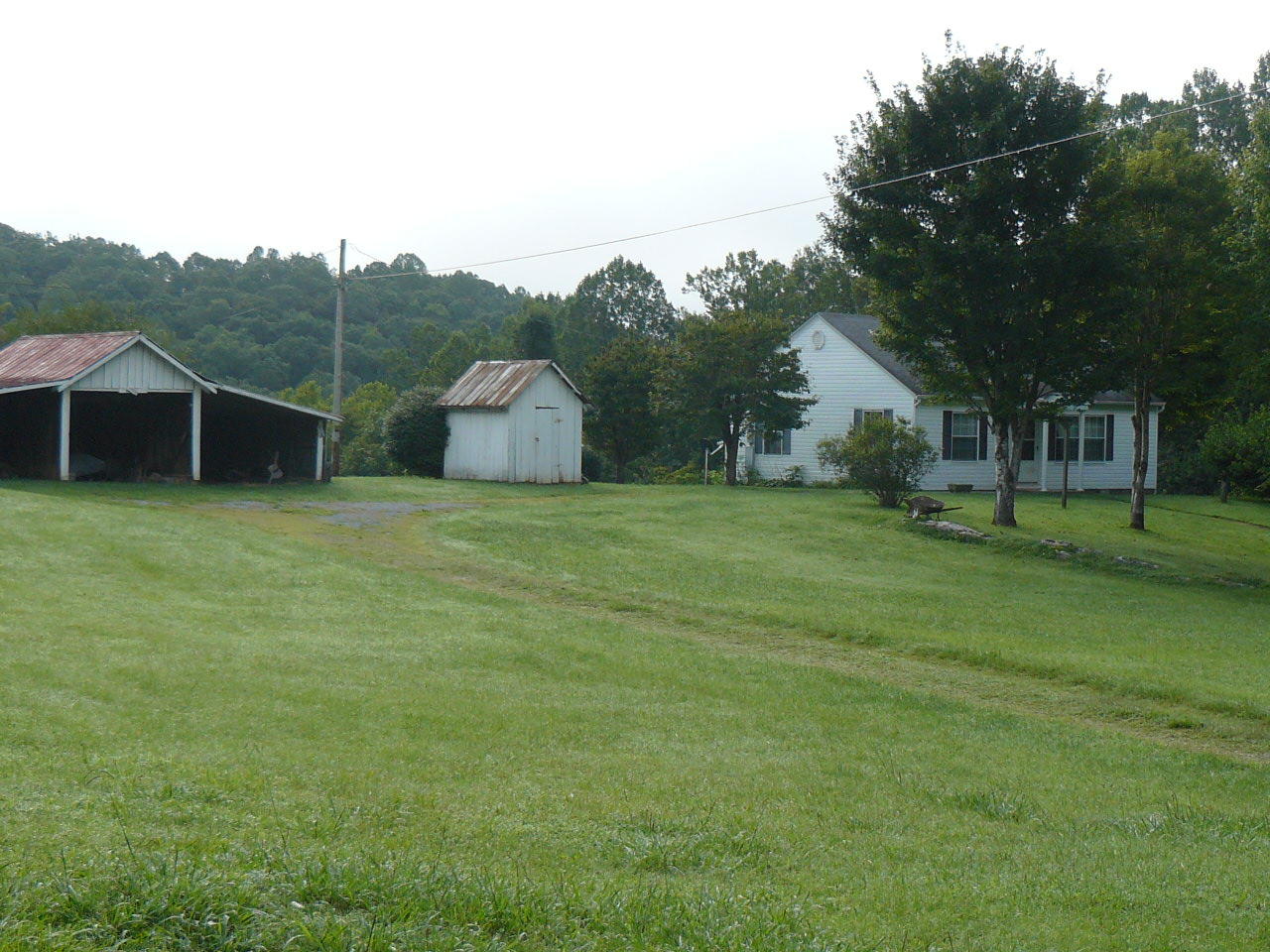 409 Loop Hollow Road New Tazewell, TN 37825 - Photo 2 of 23 P1380712