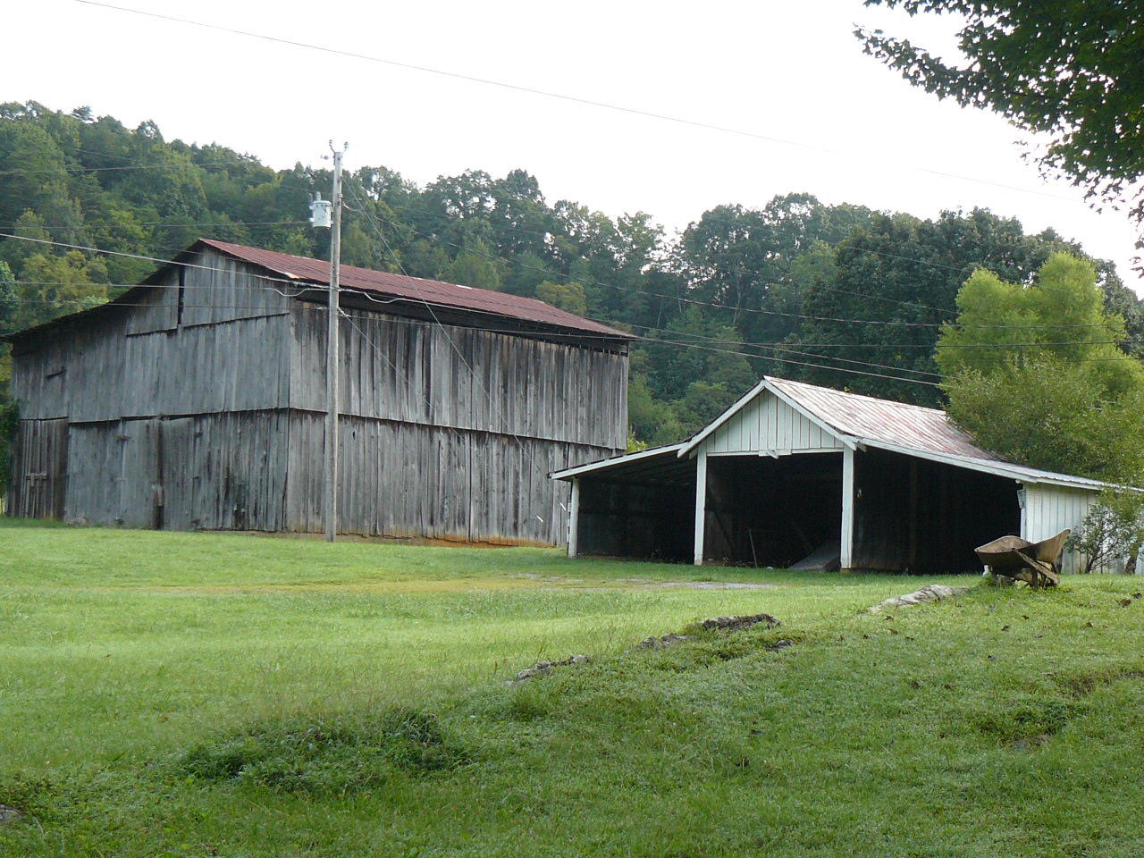 409 Loop Hollow Road New Tazewell, TN 37825 - Photo 4 of 23 P1380716