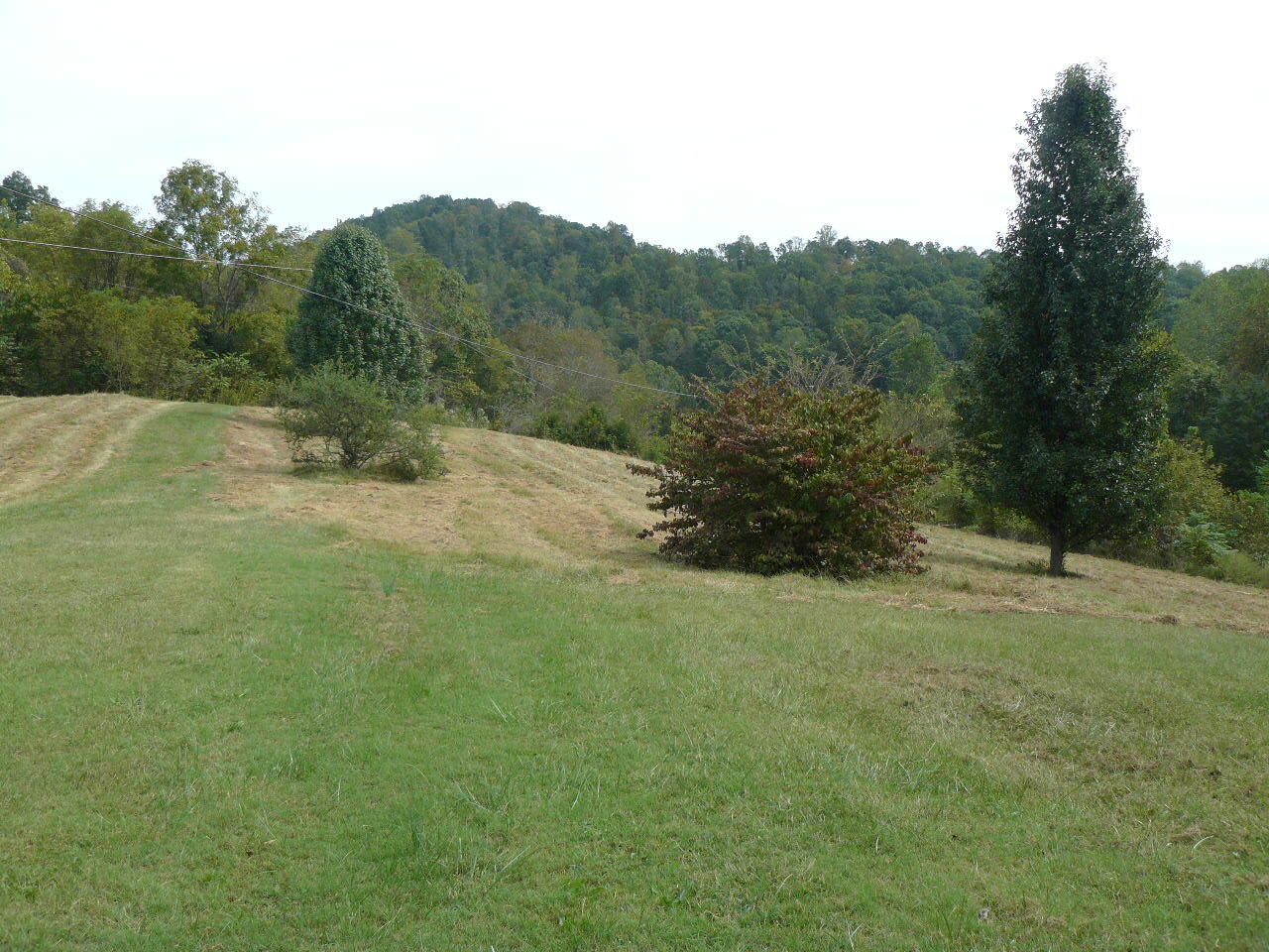 409 Loop Hollow Road New Tazewell, TN 37825 - Photo 6 of 23 P1380963