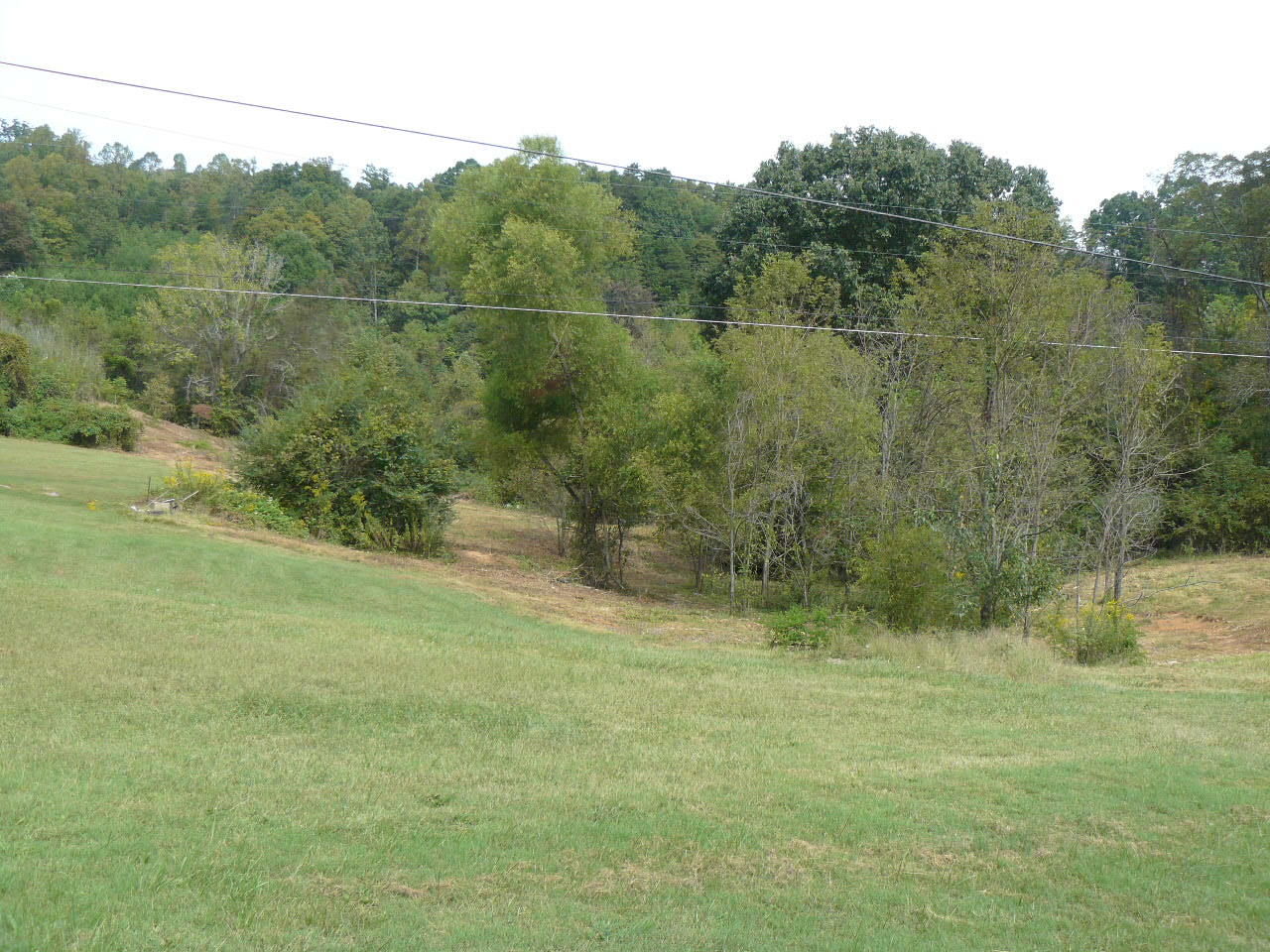 409 Loop Hollow Road New Tazewell, TN 37825 - Photo 7 of 23 P1380964