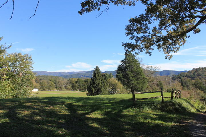 110 Fork Farm Road Eagle Rock, VA 24085 - Photo 9 of 26 View from yard