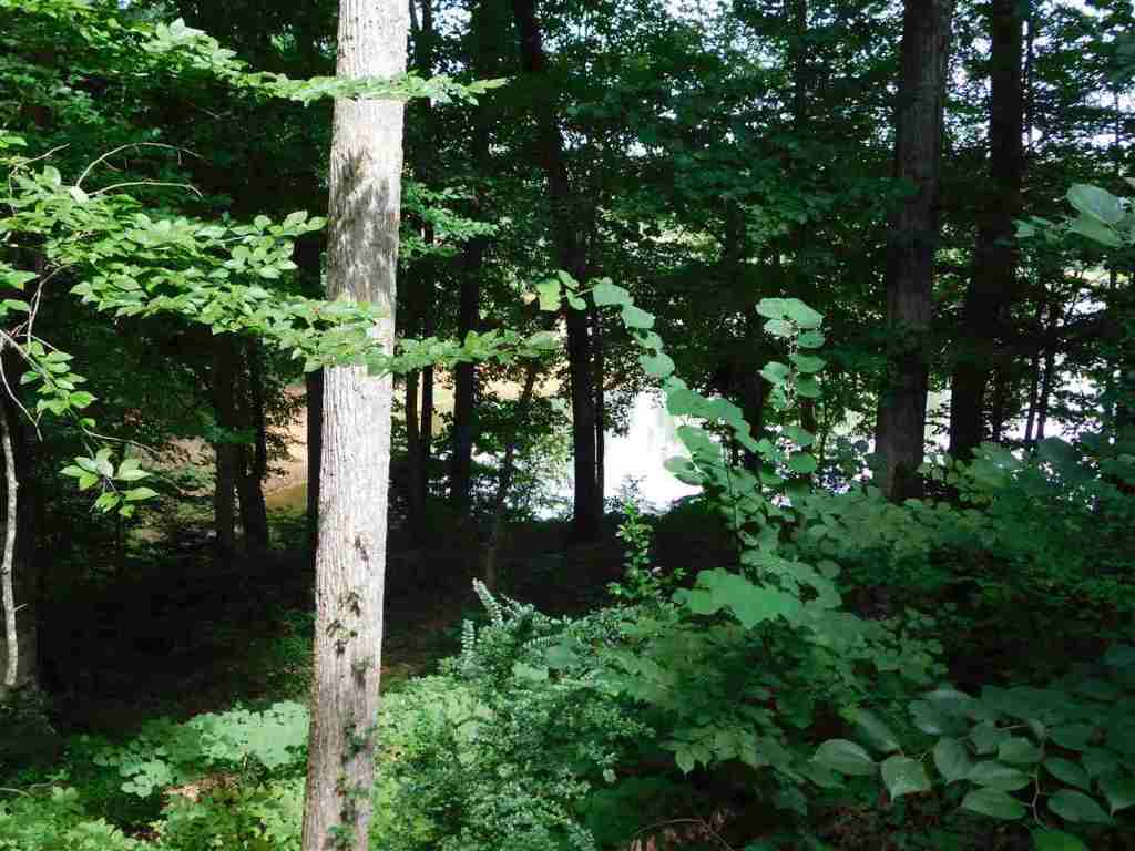 79 Rue Chalet Lavonia, GA 30553 - Photo 3 of 17