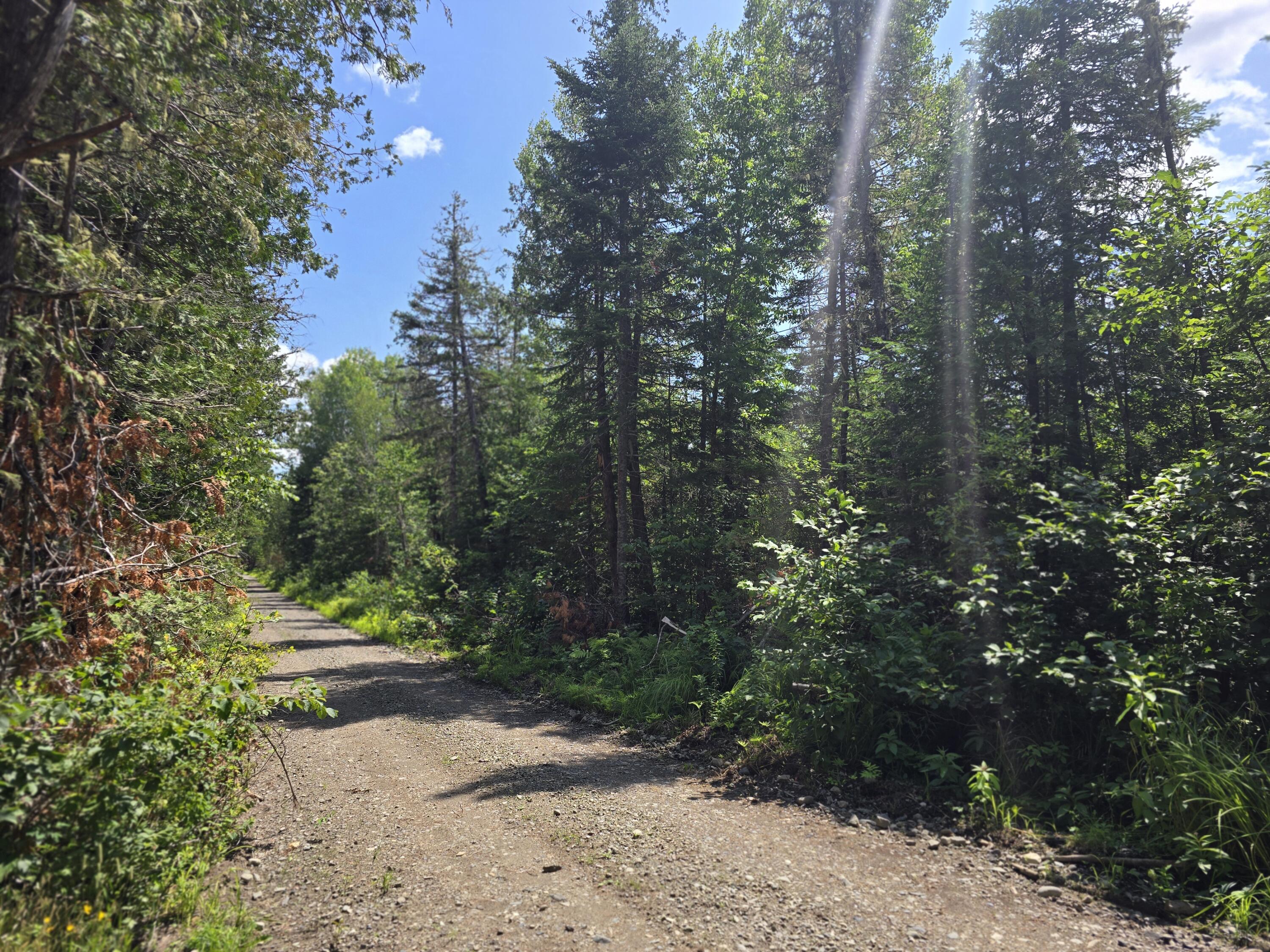 Off Shean Flat Road Ashland, ME 04732 - Photo 11 of 11 20250722_121737
