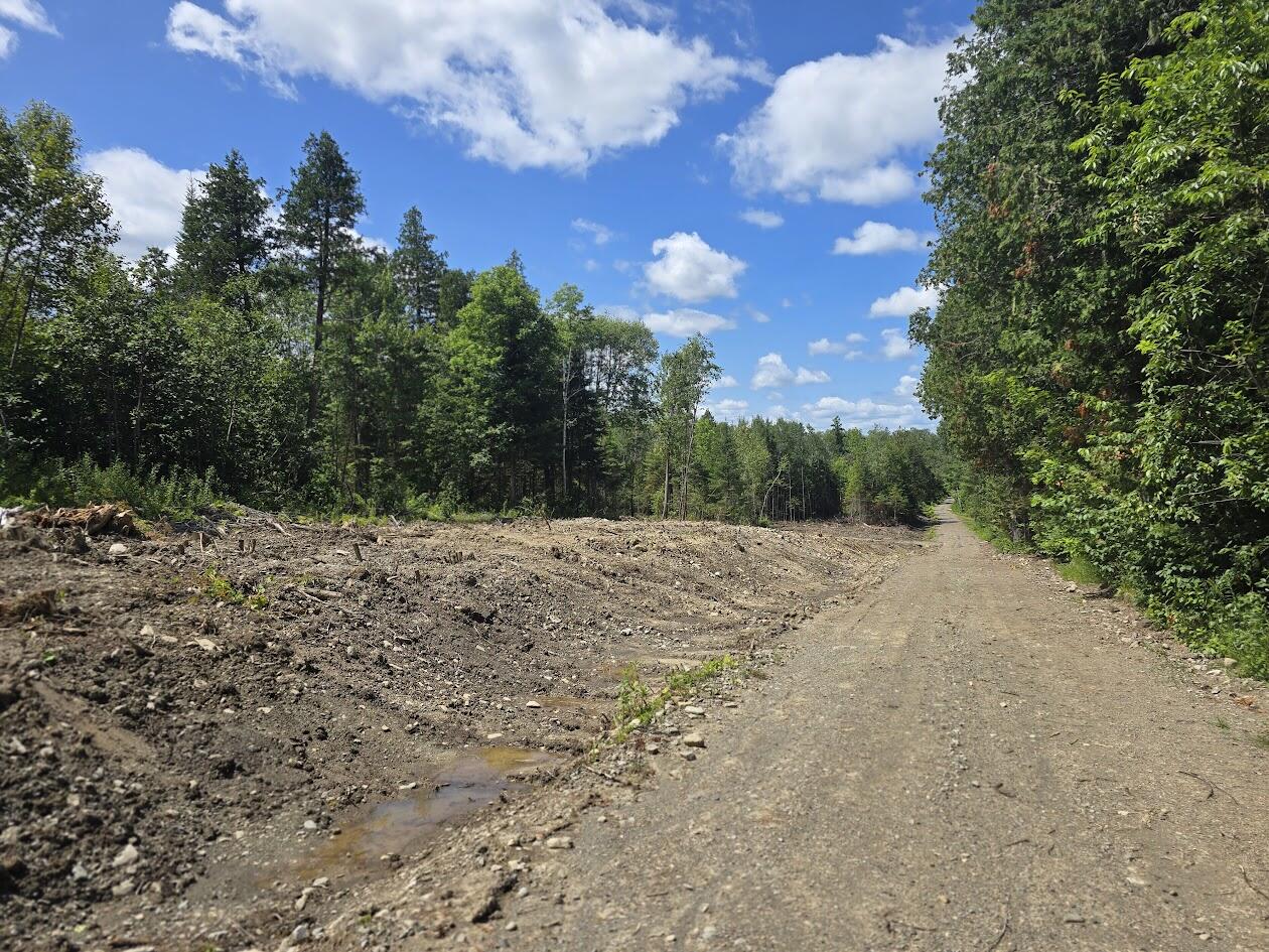 Off Shean Flat Road Ashland, ME 04732 - Photo 3 of 11 20250722_121240