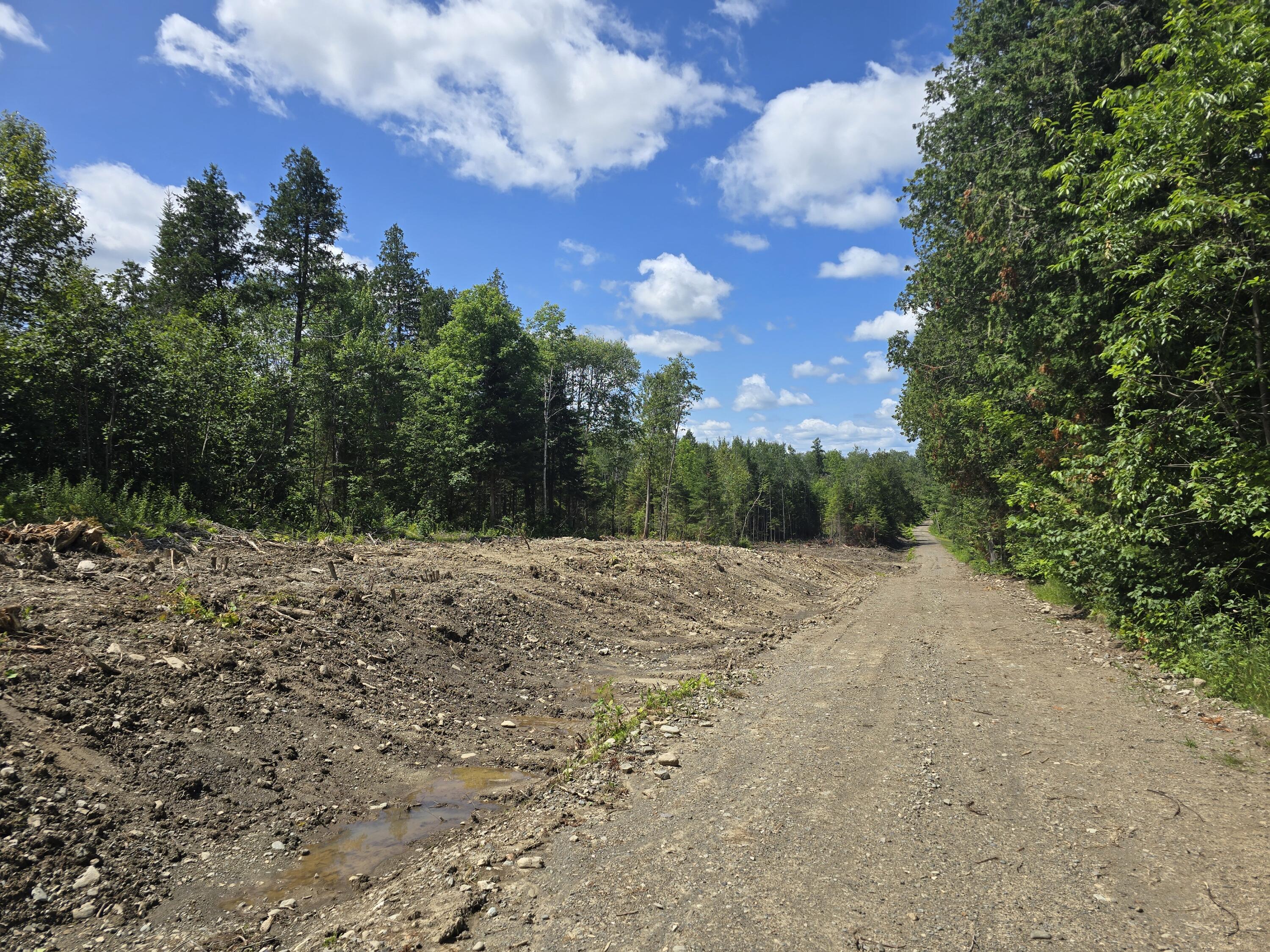 Off Shean Flat Road Ashland, ME 04732 - Photo 4 of 11 20250722_121236