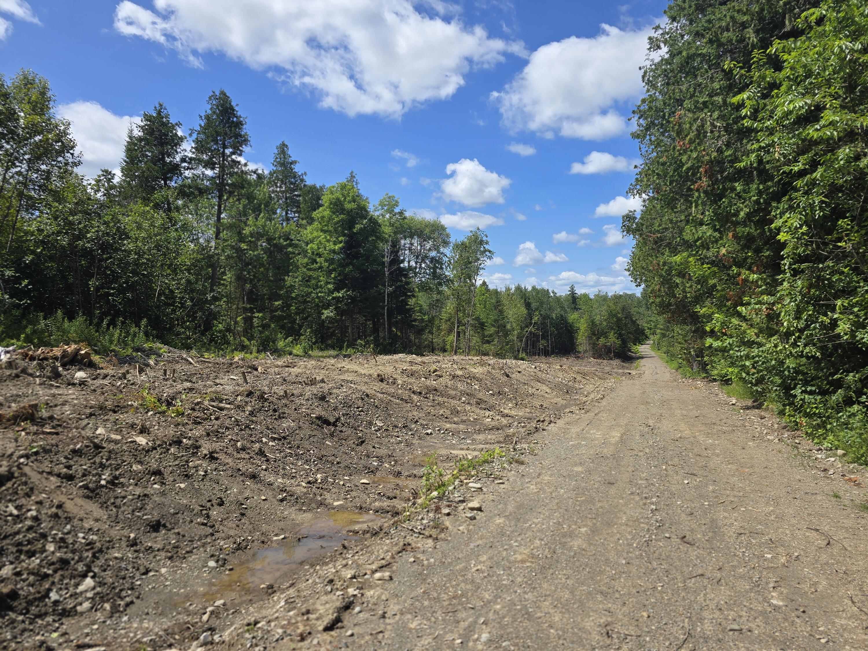 Off Shean Flat Road Ashland, ME 04732 - Photo 5 of 11 20250722_121240