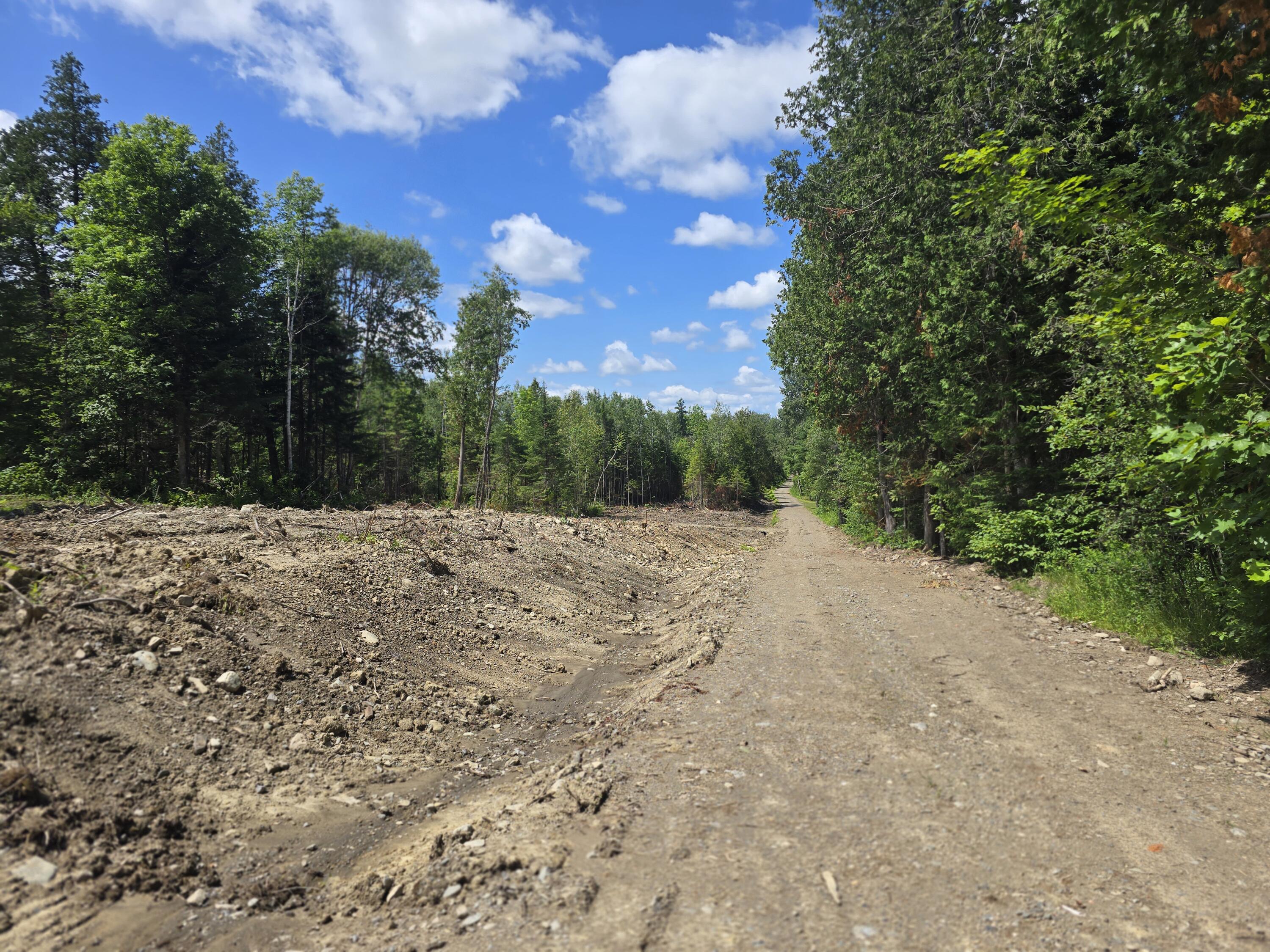 Off Shean Flat Road Ashland, ME 04732 - Photo 6 of 11 20250722_121250