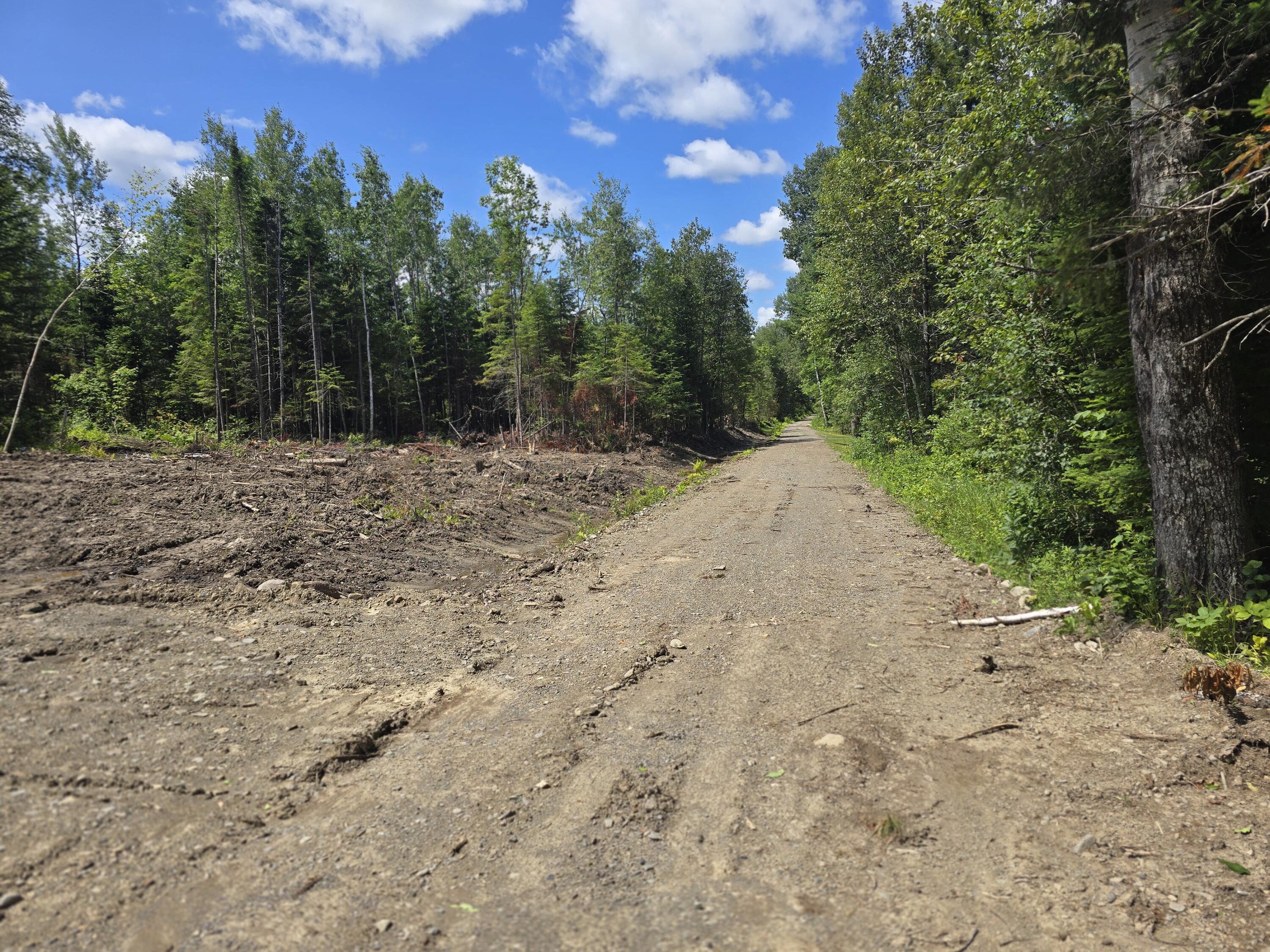 Off Shean Flat Road Ashland, ME 04732 - Photo 8 of 11 20250722_121331
