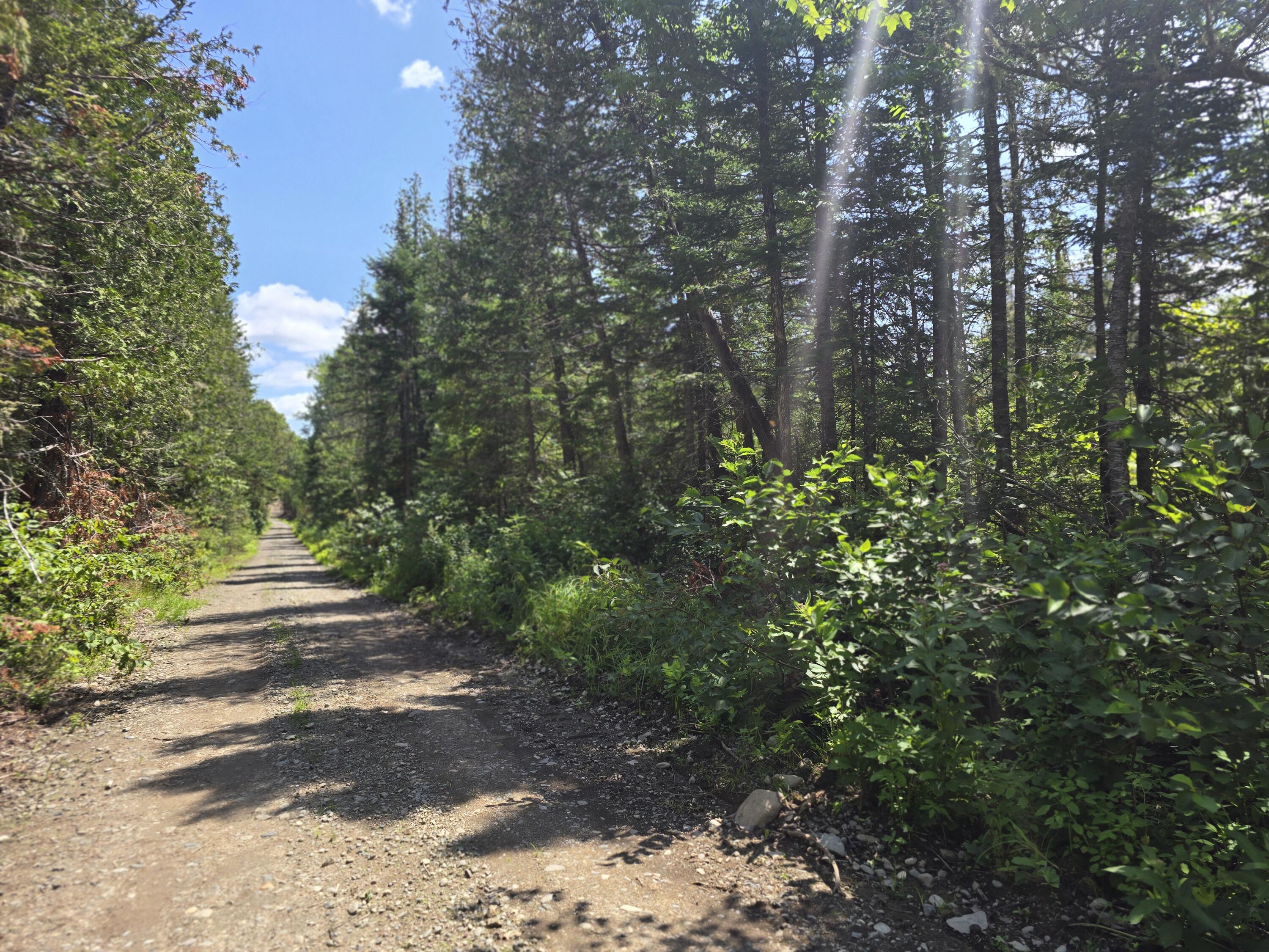 Off Shean Flat Road Ashland, ME 04732 - Photo 10 of 11 20250722_121722