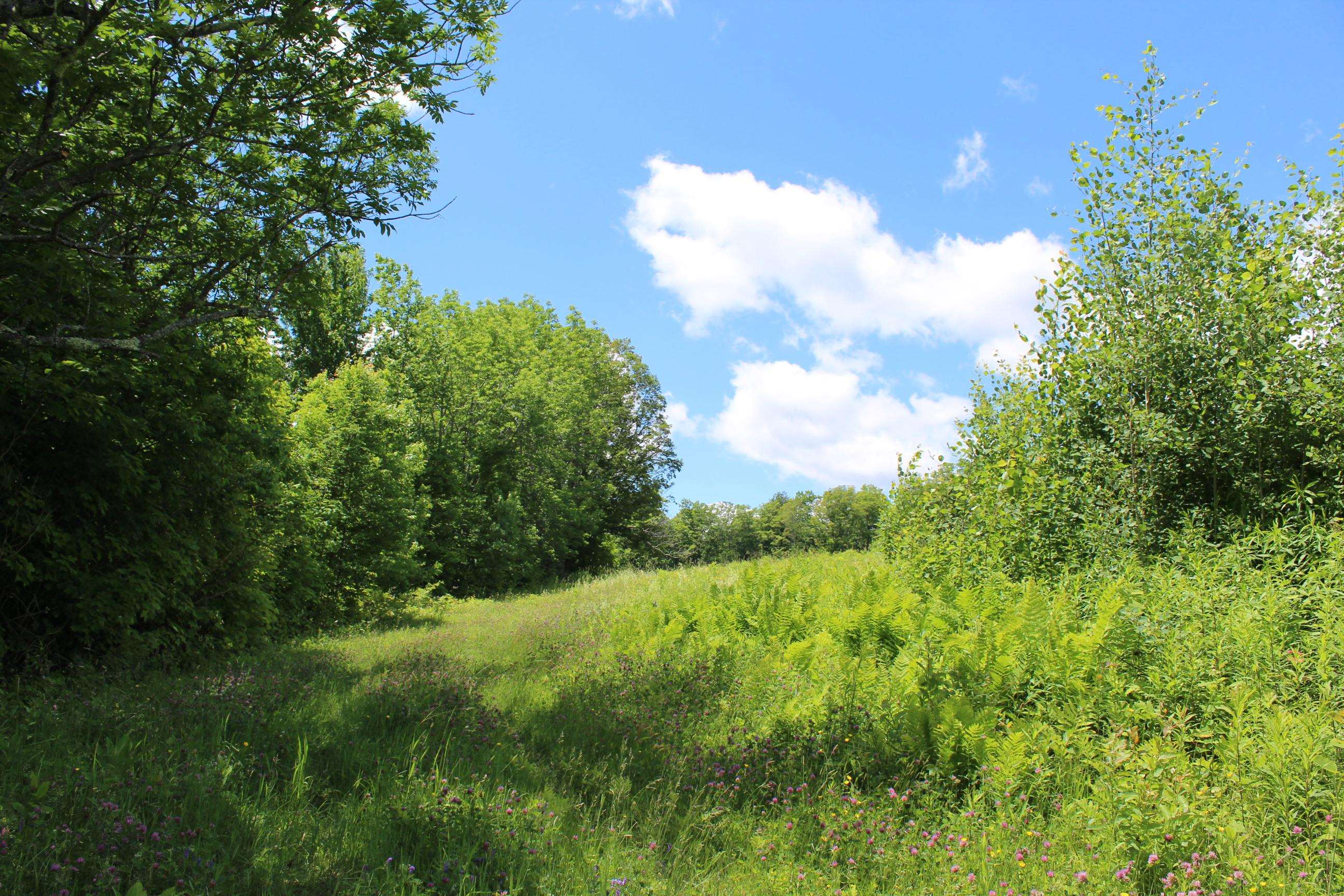 589 Hill Top Road Andover, VT 05143 - Photo 20 of 34