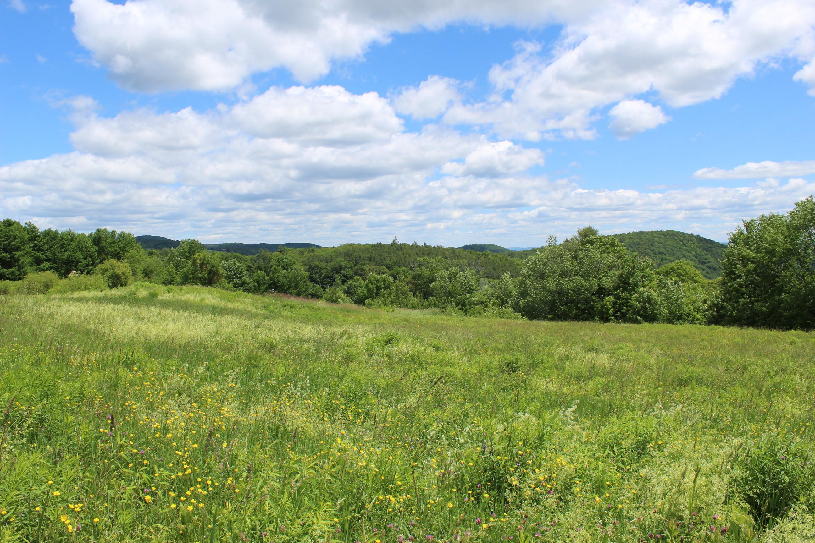 589 Hill Top Road Andover, VT 05143 - Photo 24 of 34