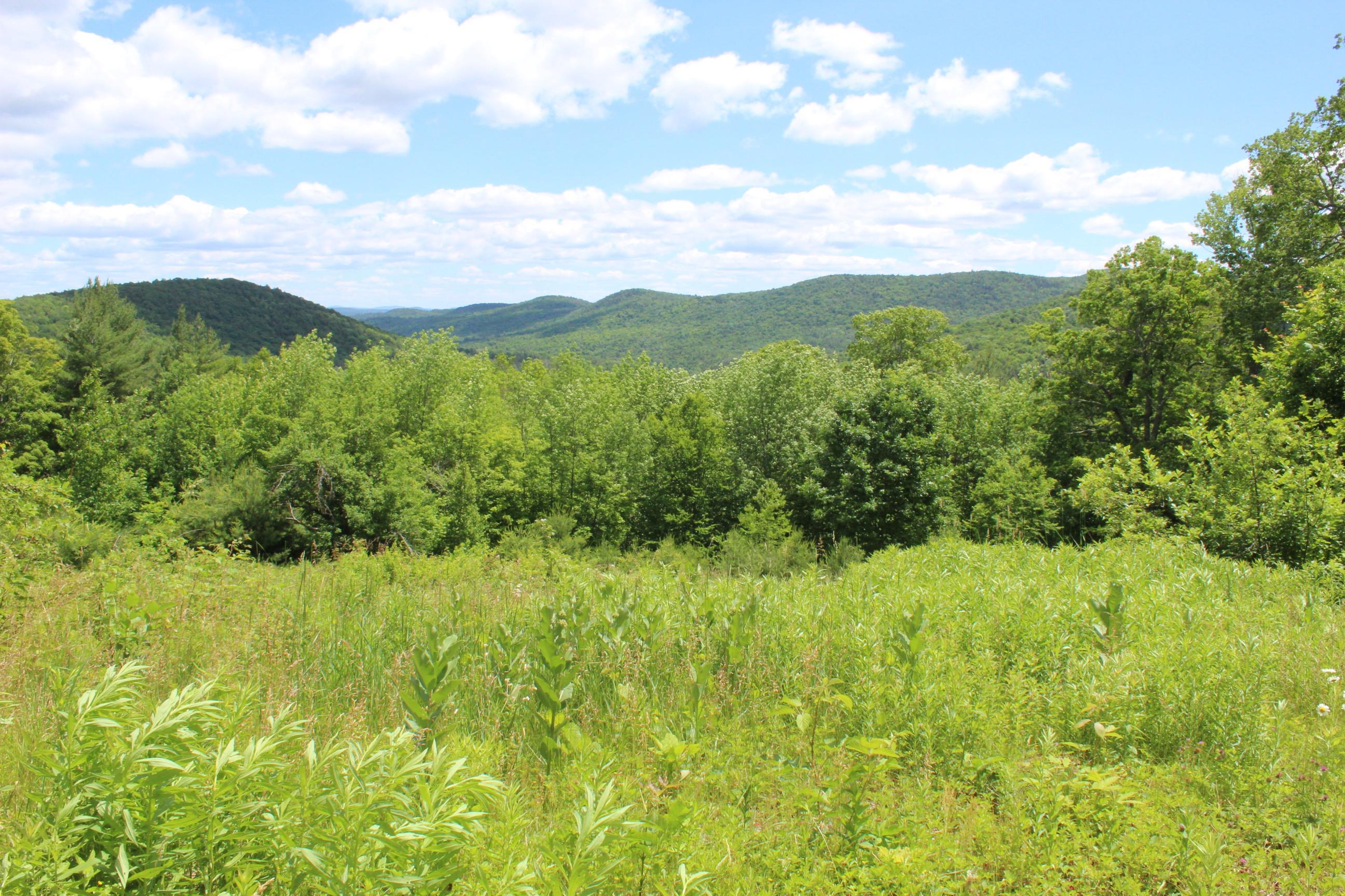 589 Hill Top Road Andover, VT 05143 - Photo 25 of 34