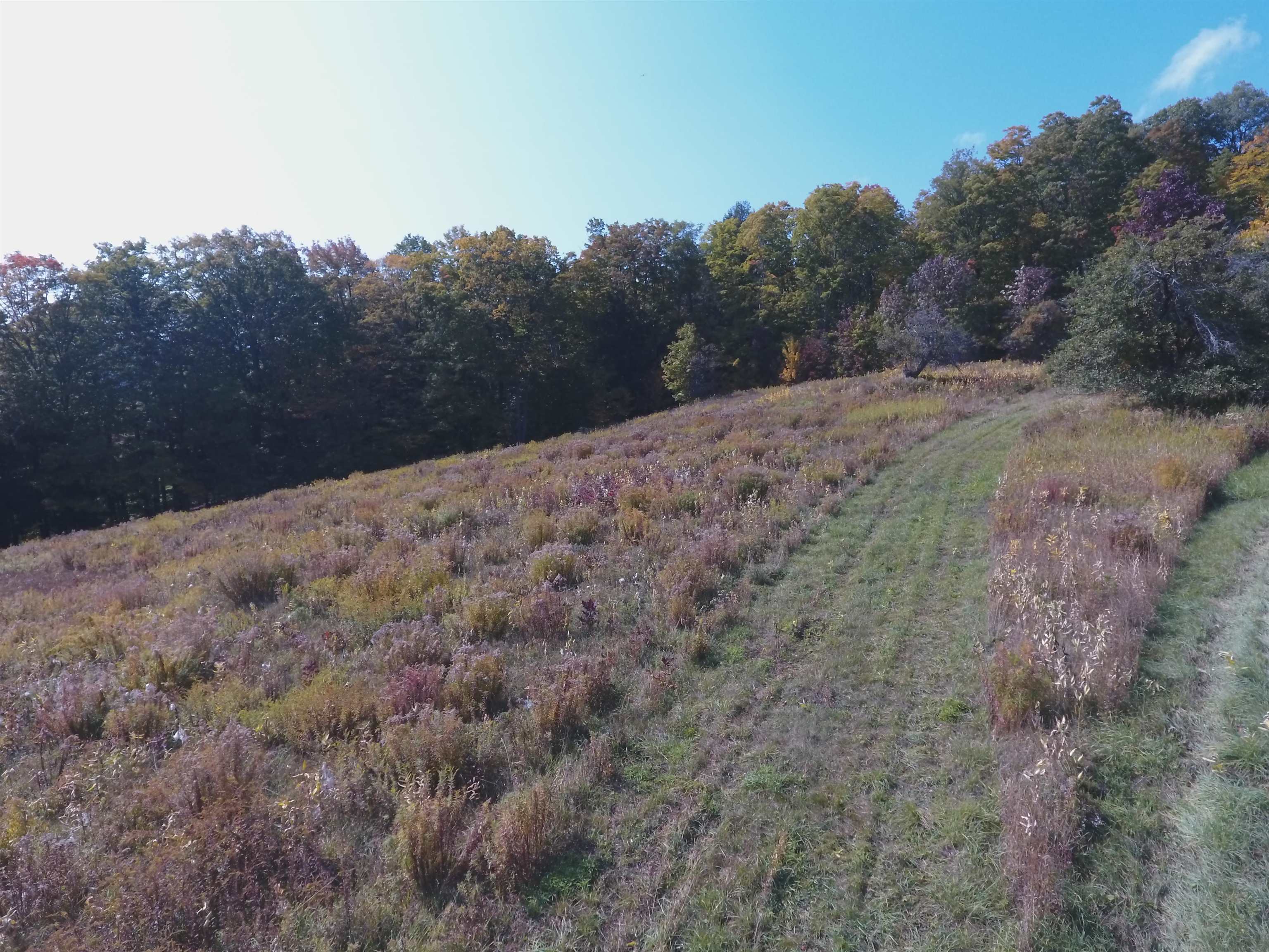 589 Hill Top Road Andover, VT 05143 - Photo 29 of 34
