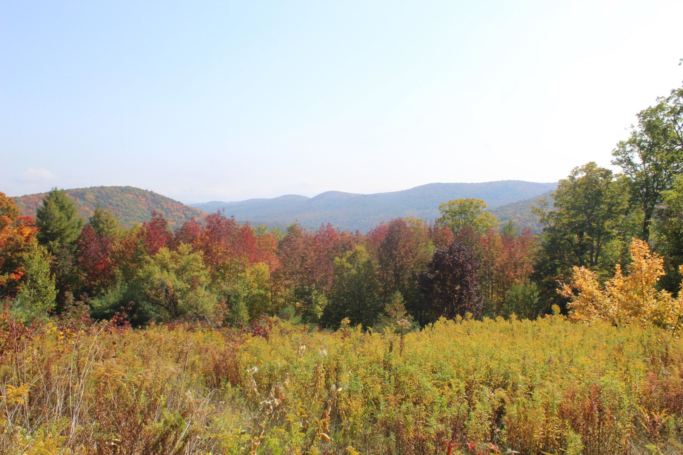 589 Hill Top Road Andover, VT 05143 - Photo 34 of 34