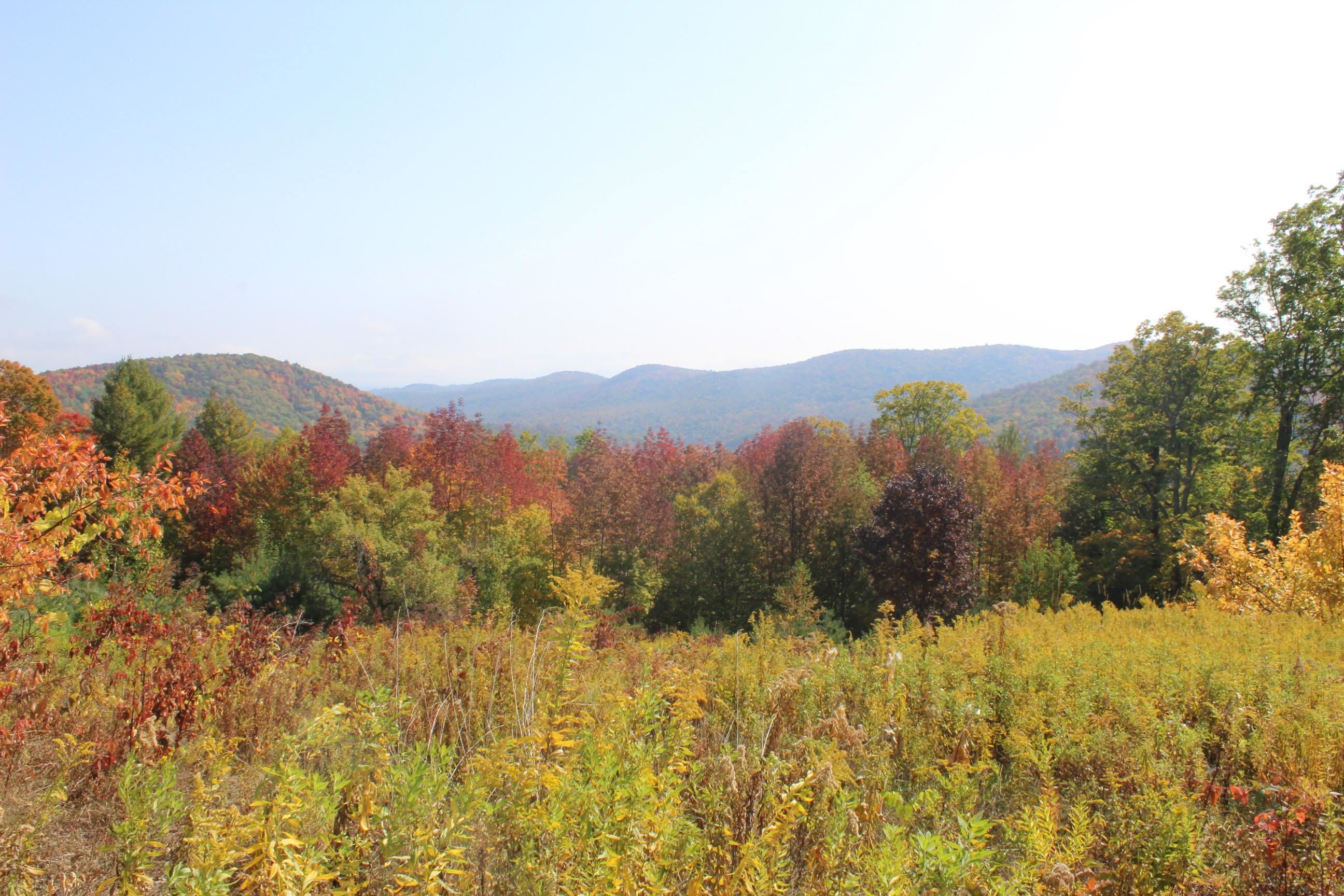 589 Hill Top Road Andover, VT 05143 - Photo 8 of 34