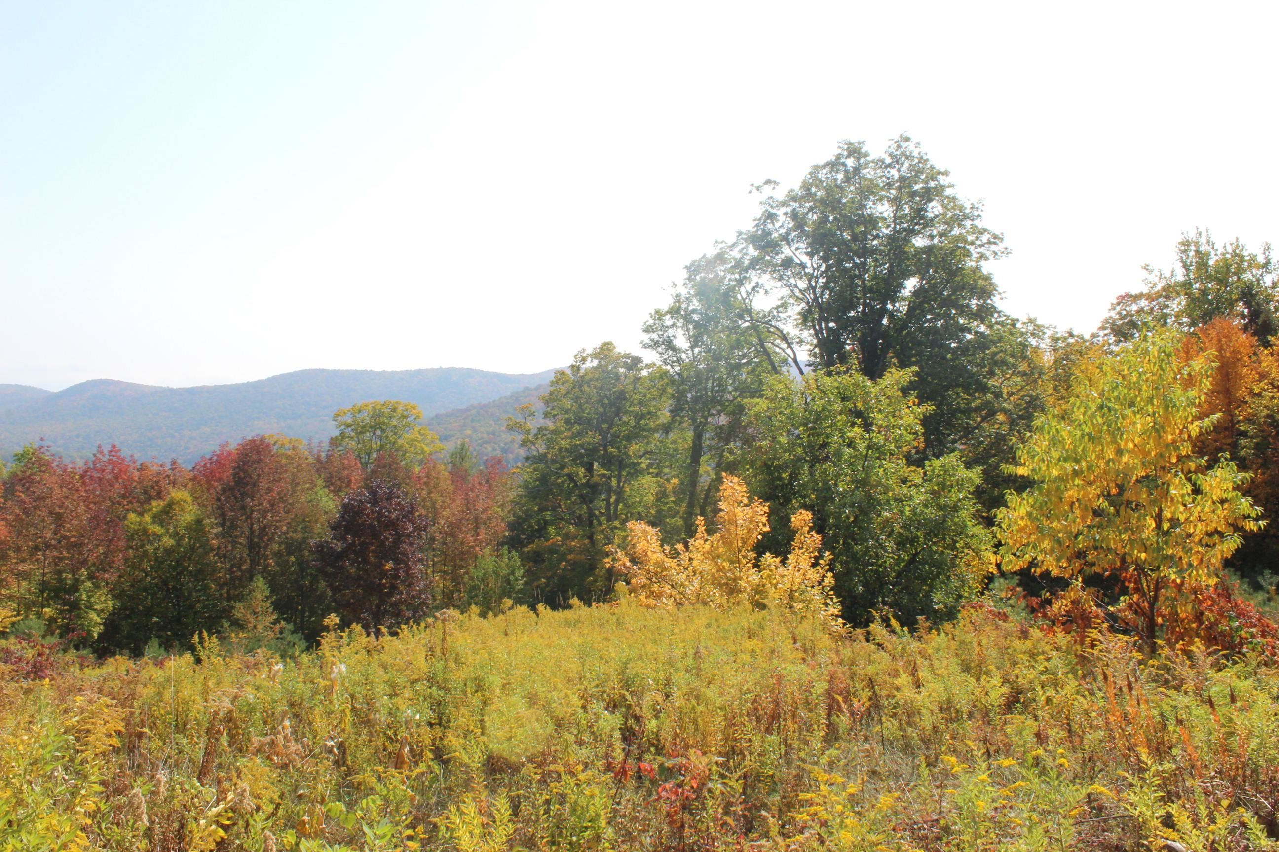 589 Hill Top Road Andover, VT 05143 - Photo 10 of 34